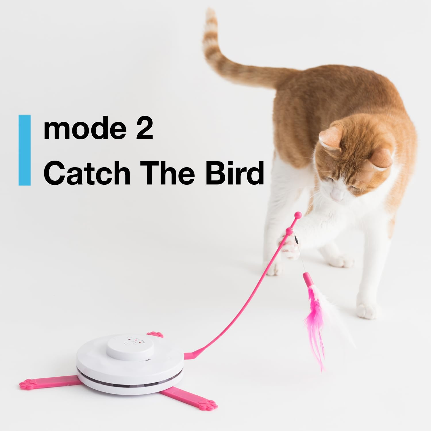 Interactive Cat Play-Catch the Tail-Electric, Rotating Feather , Motion, Automatic, Best Undercover Mouse under Blanket Cat Toy image number 1