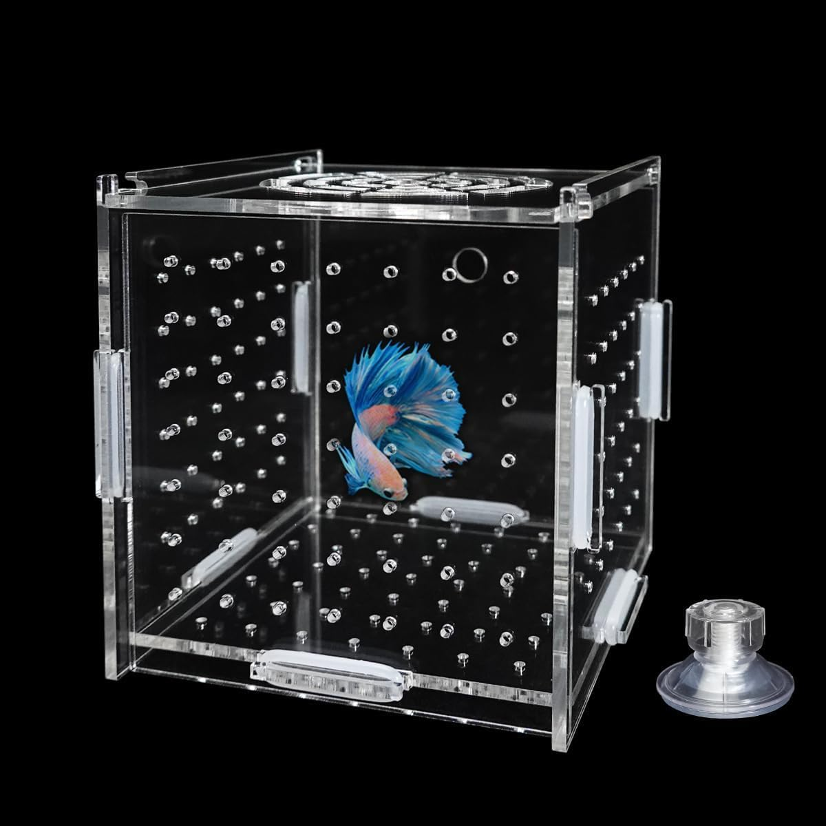 Acrylic Fish Breeding Box, 1Pc Transparent Acrylic Aquarium Isolation Box with Suction Cup,Acrylic Fish Isolation Breeding Box image number 2