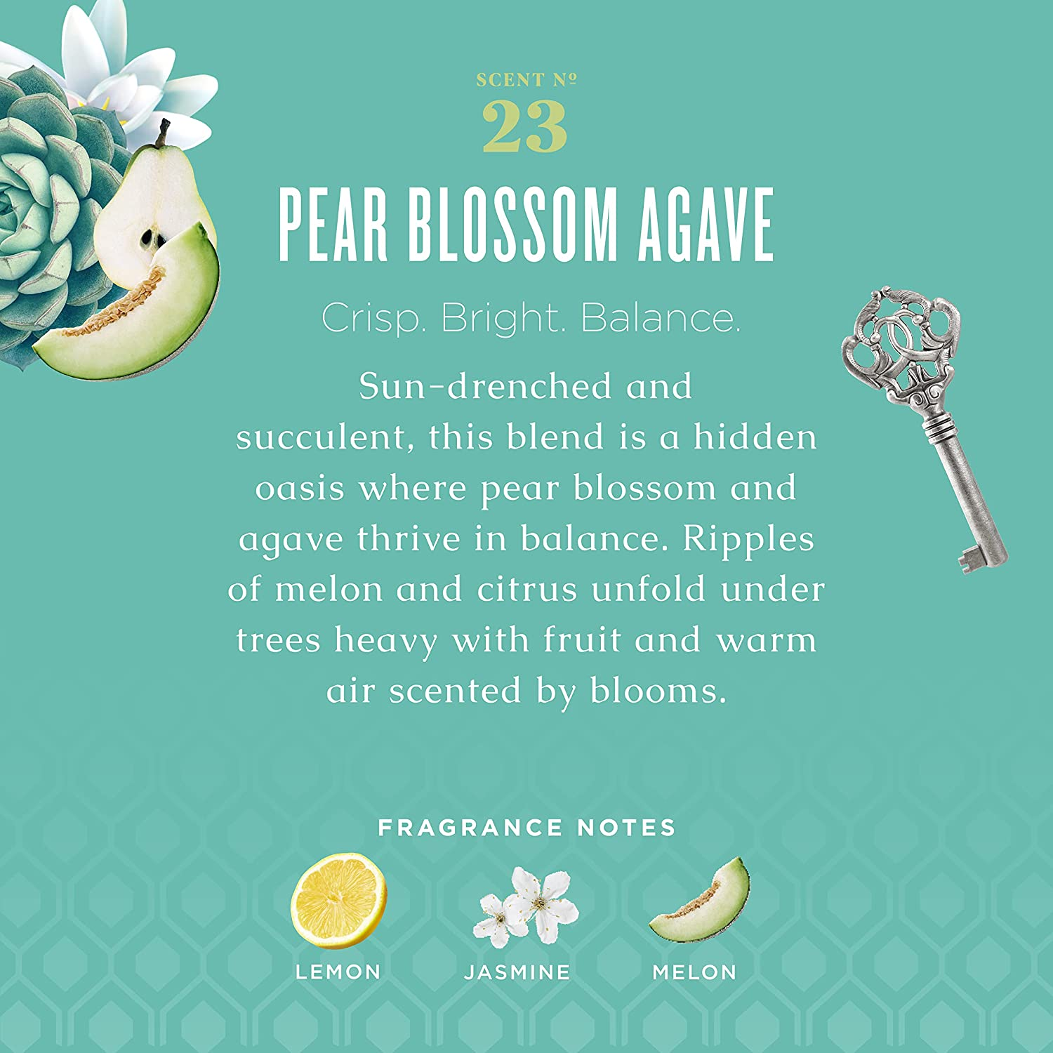 Caldrea Hand Soap Refill, Pear Blossom Agave, 32 Oz image number 2