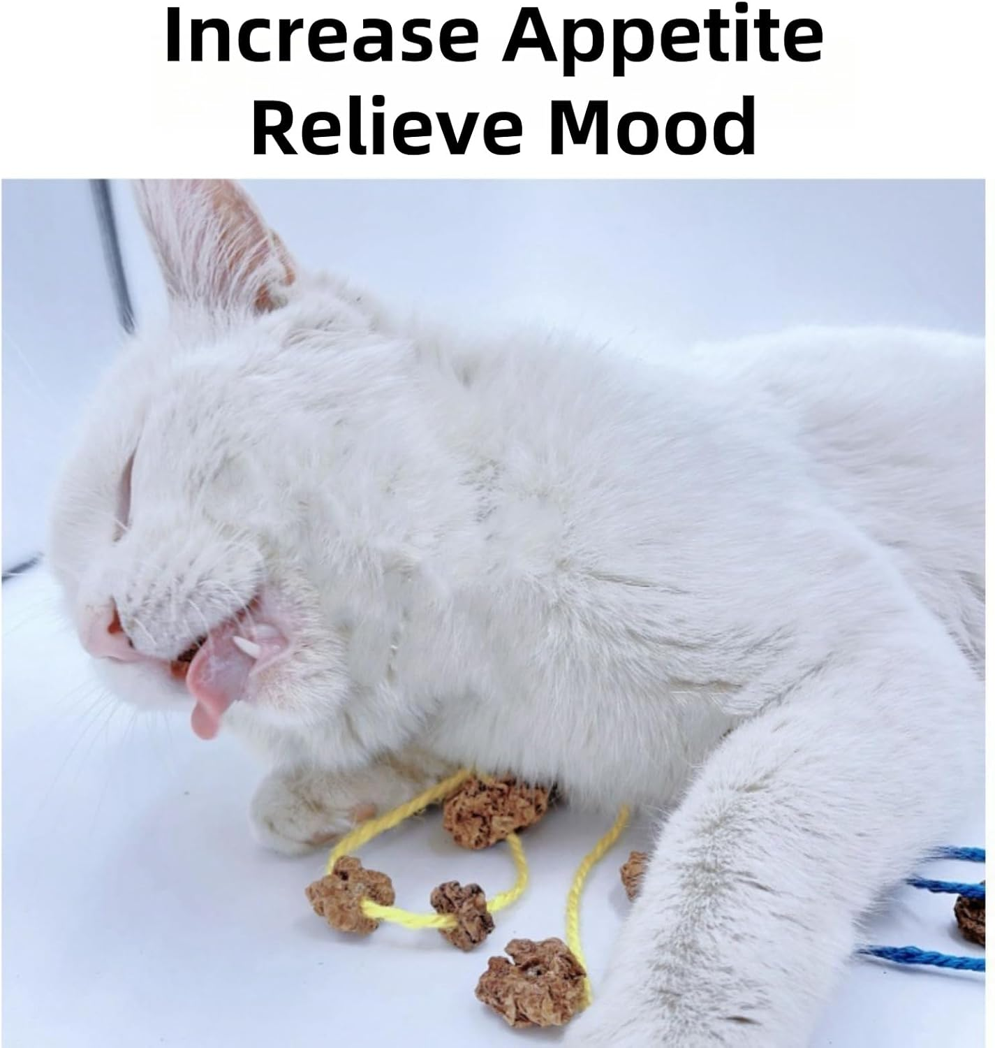 15PCS Natural Silvervine Gall Fruit with Perforated Holes - Cat Teething and Chew Toy for Teeth Cleaning, Mood Regulation and Appetite Improvement