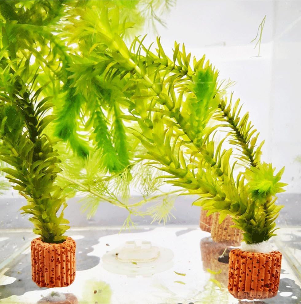 20 Pcs Aquarium Plant Holder Fish Tank Fixed Ring, 25Mm Fixed Ring Durable Practical Pottery Water Plant Holder Gravity Ring Fixed Ring Decor for Aquarium Pond Decor image number 3