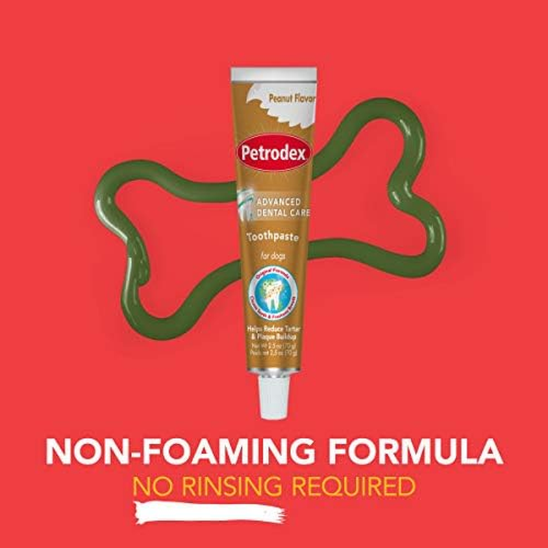 Petrodex Dental Care Kit for Dogs, Toothpaste and Toothbrushes, Peanut Flavor, 3 Piece Set image number 2