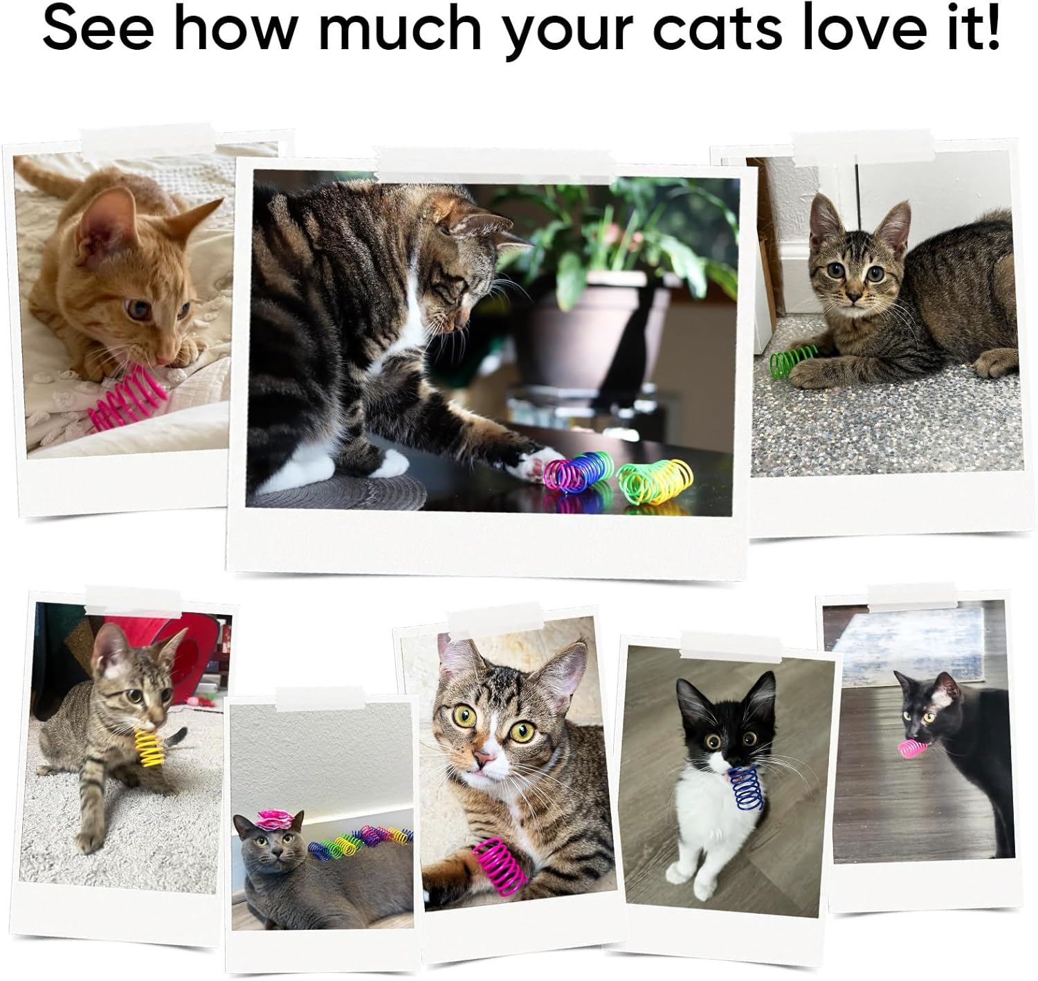 AGYM Colorful Plastic Spring Cat Toys, 30 Pack Spiral Springs for Indoor Cats to Swat, Bite, Hunt, Interactive Toys for Cats and Kittens image number 4