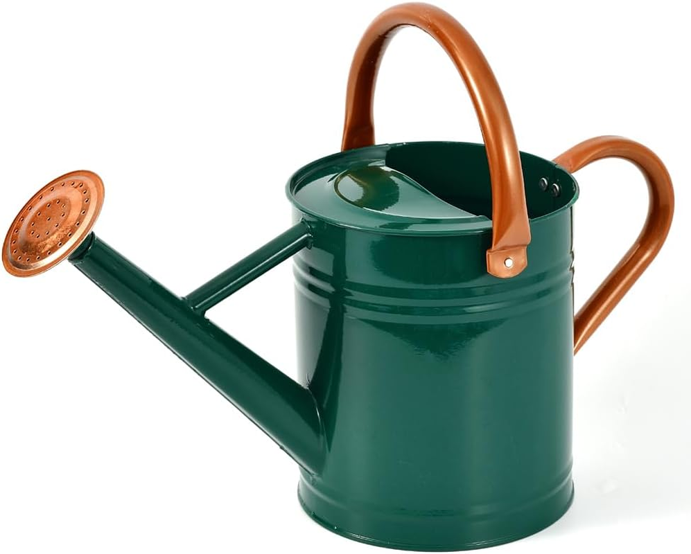 Sliver Galvanized Steel Watering Can with Copper Accents,Removable Rosette-Diffuser,One-Gallon