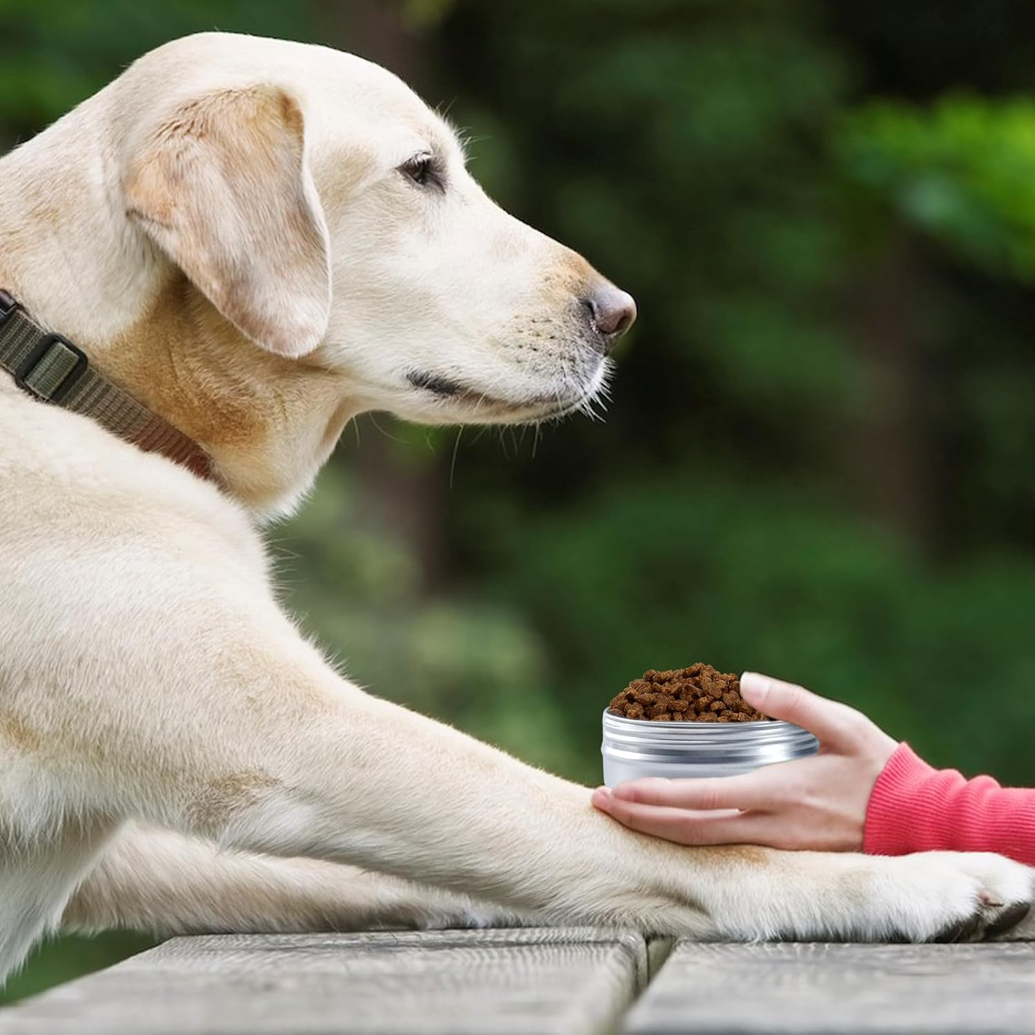 12 Pack Scent Training for Dogs Scent Dog Scent Work Tins Small Dog Food Container Nose Work Supplies for Scent Training, Aluminum Dog Scent Boxes image number 1