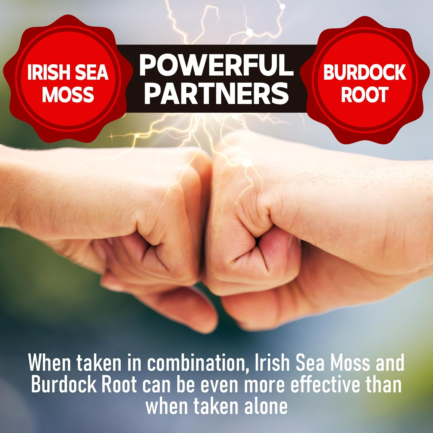 Sea Moss Capsules 2400Mg W. Burdock Root & Bladderwrack - Irish Sea Moss Raw, Sea Moss - 150 Capsules image number 4