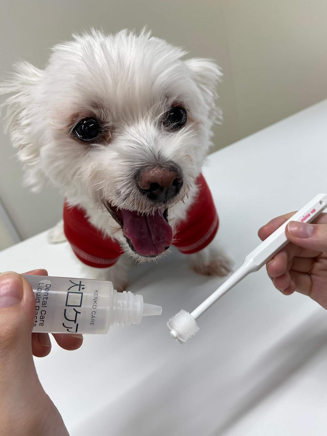 (Cylinder Head) - Toothbrush for Dogs Easy to Use Made in Japan Kenko Care by Mind Up image number 2