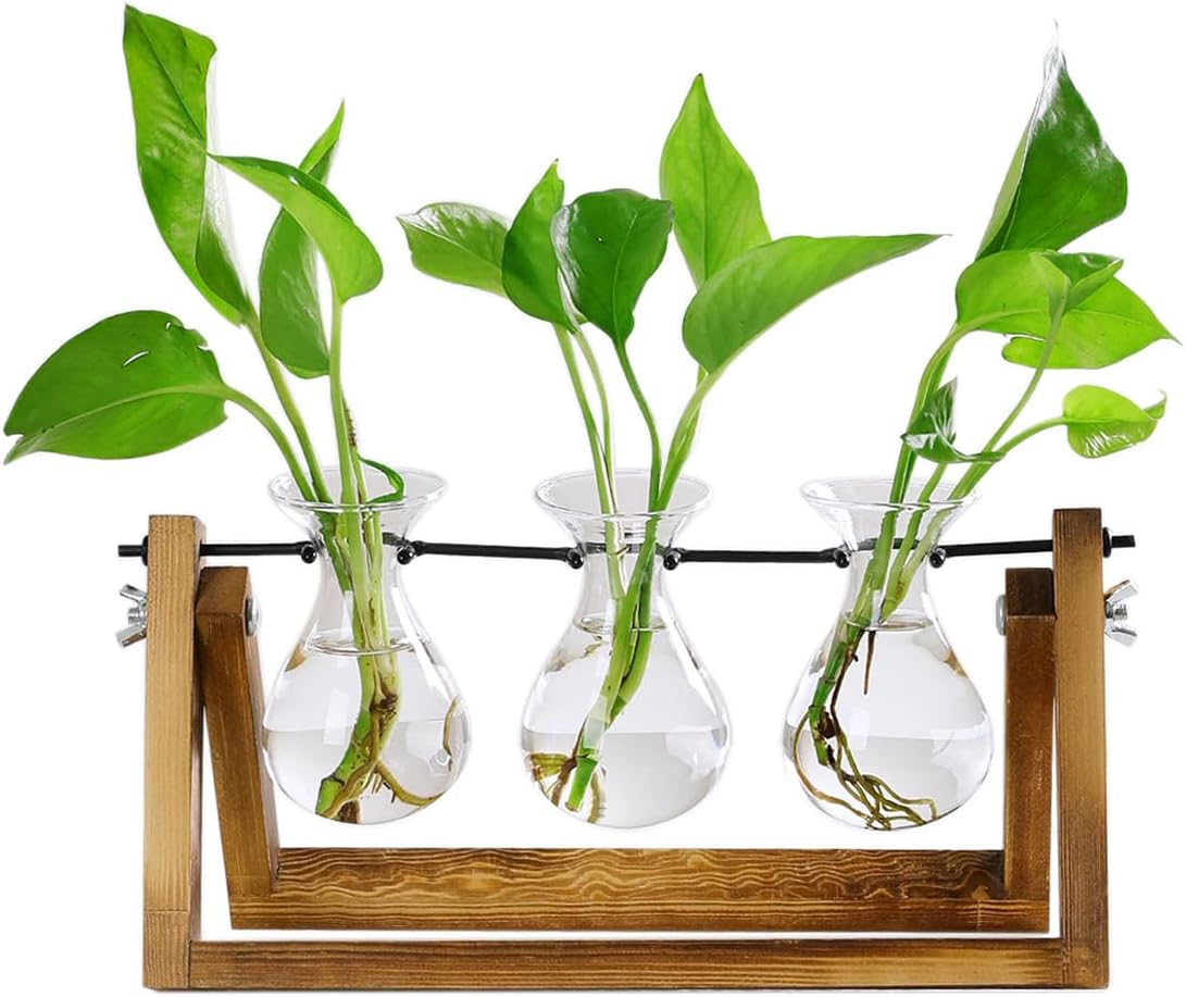 Plant Terrarium Wooden Stand Propagation Stations Glass Hydroponics Bulb Vase Desk Plants Holder for Gardening Office Home Decor 3 Glass Vase