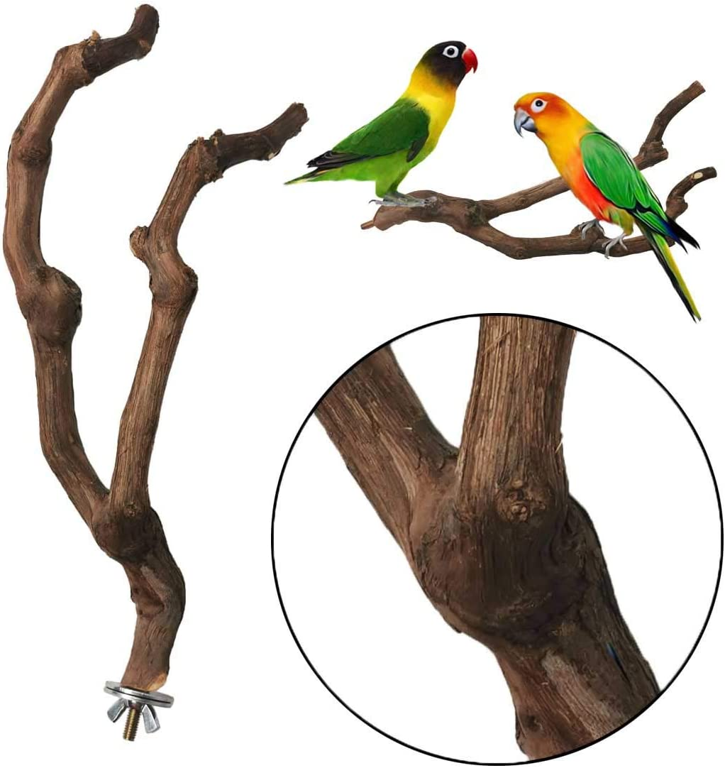 Kathson Natural Parrot Perch Bird Stand Pole Wild Grape Stick Paw Grinding Fork Parakeet Climbing Standing Branches Toy Chewable Cage Accessories for Small Budgies Cockatiels Lovebirds 3PCS image number 3