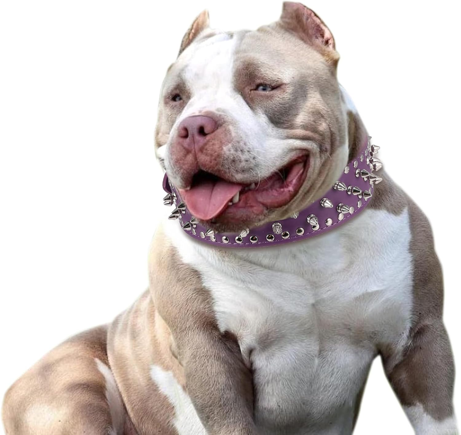 Hoot PU Leather Adjustable Spiked Studded Dog Collar 2" Wide 31 Spikes 52 Studs (S(Neck 17"-20"), Purple)