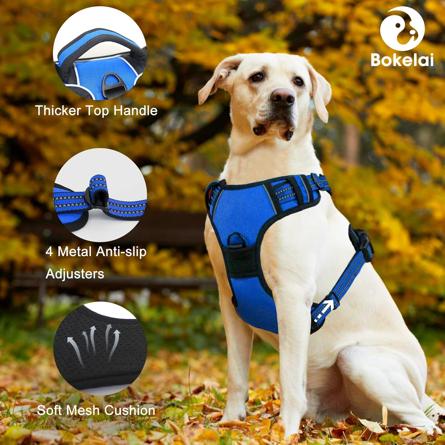 No Pull Dog Harness for Medium Large Dogs Adjustable Reflective Pet Vest Harness for Small Dogs Front Clip Harness Easy Control Handle Best for Outdoor Training and Walking Blue S image number 1