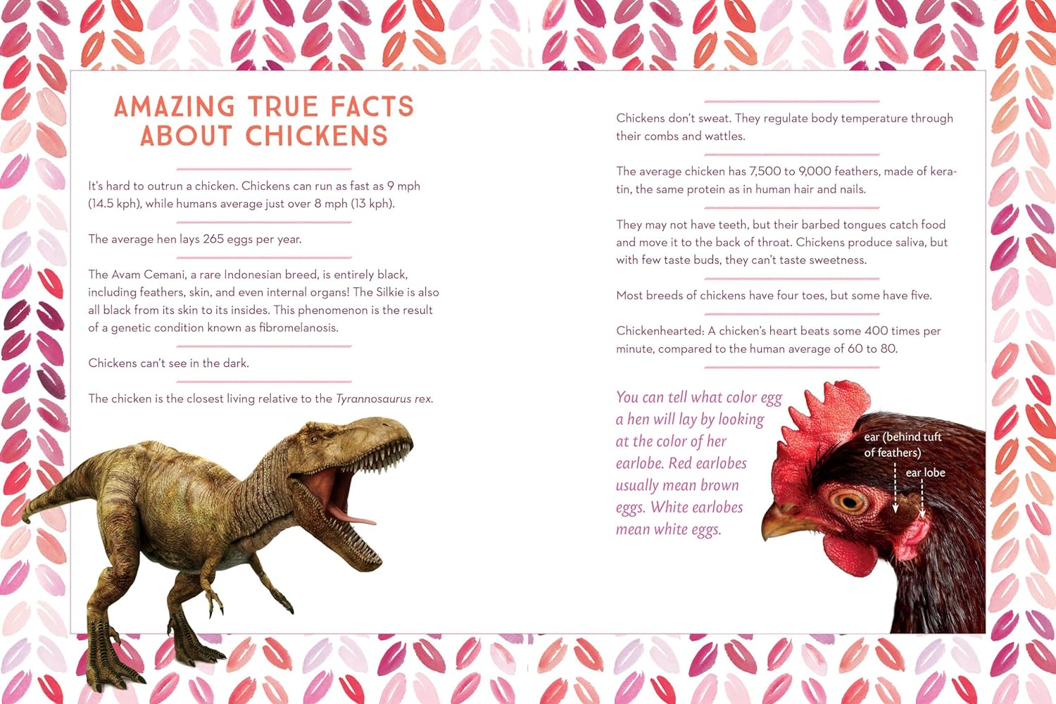 How to Speak Chicken: Why Your Chickens Do What They Do & Say What They Say image number 2