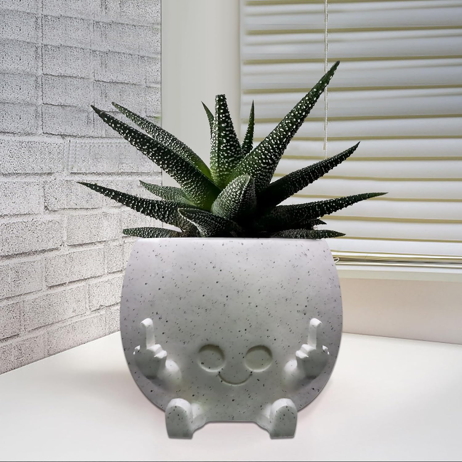 Smiling Plant Pot with Middle Fingers Up, Face Planter Pot Resin Flower Planters for Indoor Outdoor Plants Succulent Pots for String of Pearls Plant Live Gift Ideas for Mother (White) image number 1