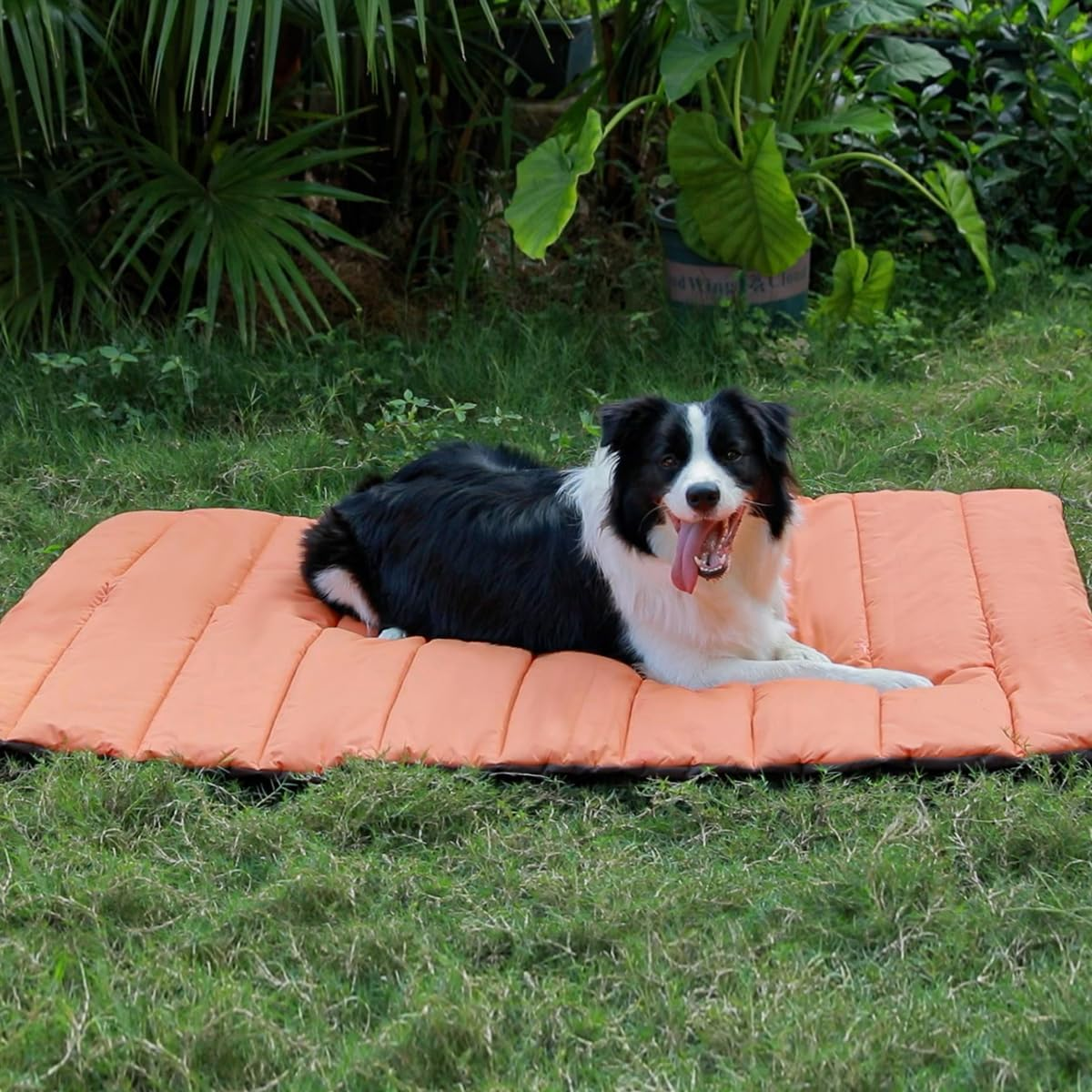 Outdoor Dog Bed, Waterproof Camping Dog Bed, Machine Washable, Easy to Clean, Large Size, Durable Travel Dog Bed, Foldable Portable Camping Travel Pet Mat for Medium and Large Dogs (L, Blue) image number 4