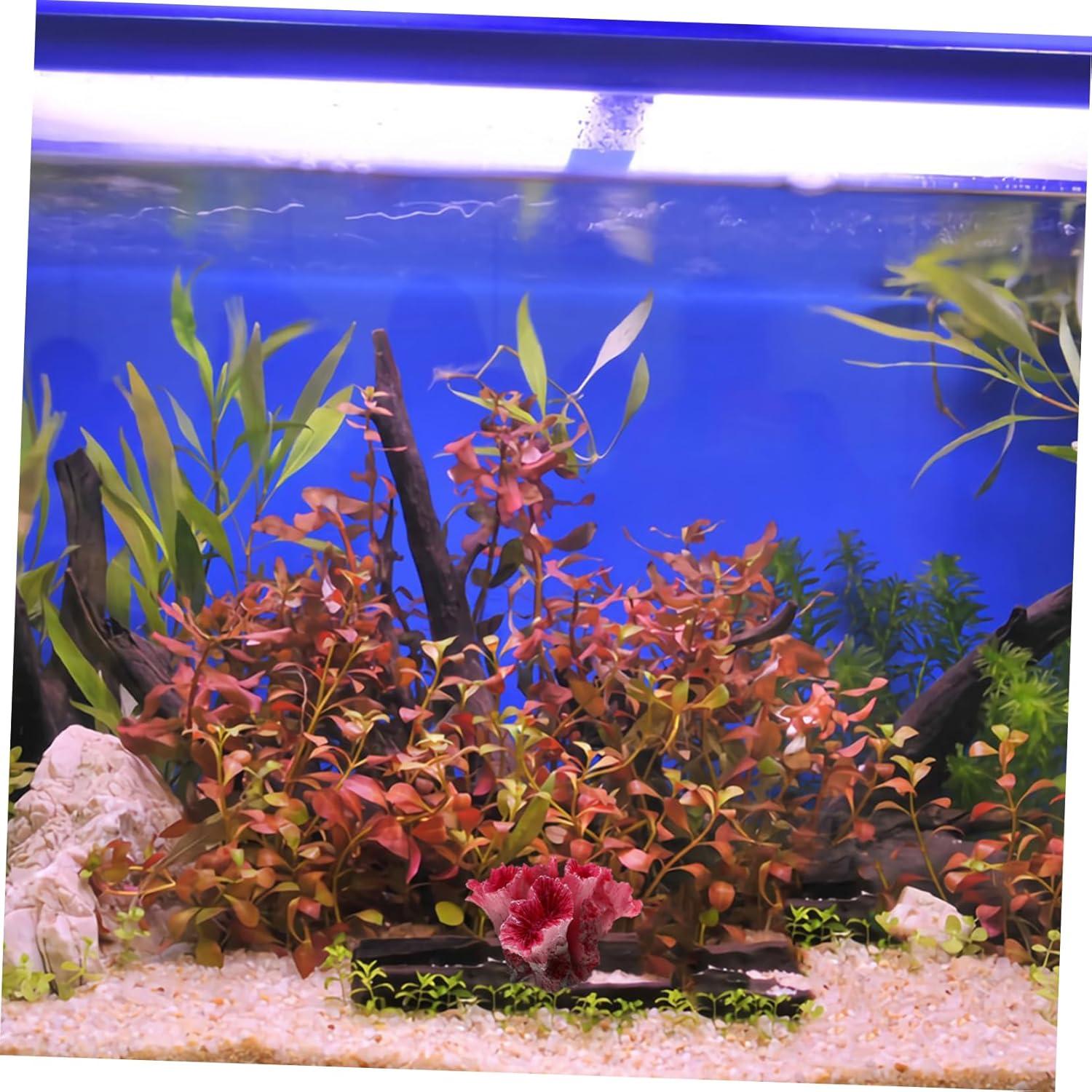 Generic Artificial Coral Decor for Fish Tanks - Realistic Aquarium Decorations - Fake Coral Reefs for Saltwater and Freshwater Tanks - Artificial Aquarium Plants and Accessories - Fish Tank image number 2