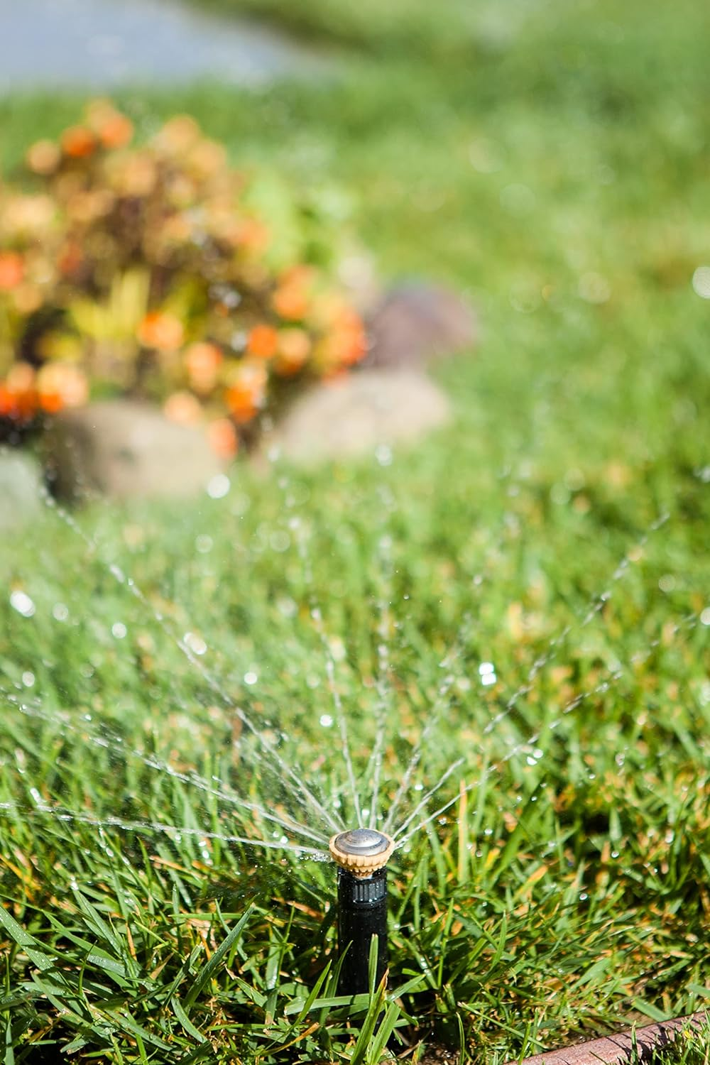 Rain Bird 8SAPROPR Pressure Regulating (PRS) High-Efficiency Pro Rotary Sprinkler, Hand Adjustable 45&deg; - 270&deg; Pattern, 8' - 14' Spray Distance, 4" Pop-Up Height image number 5