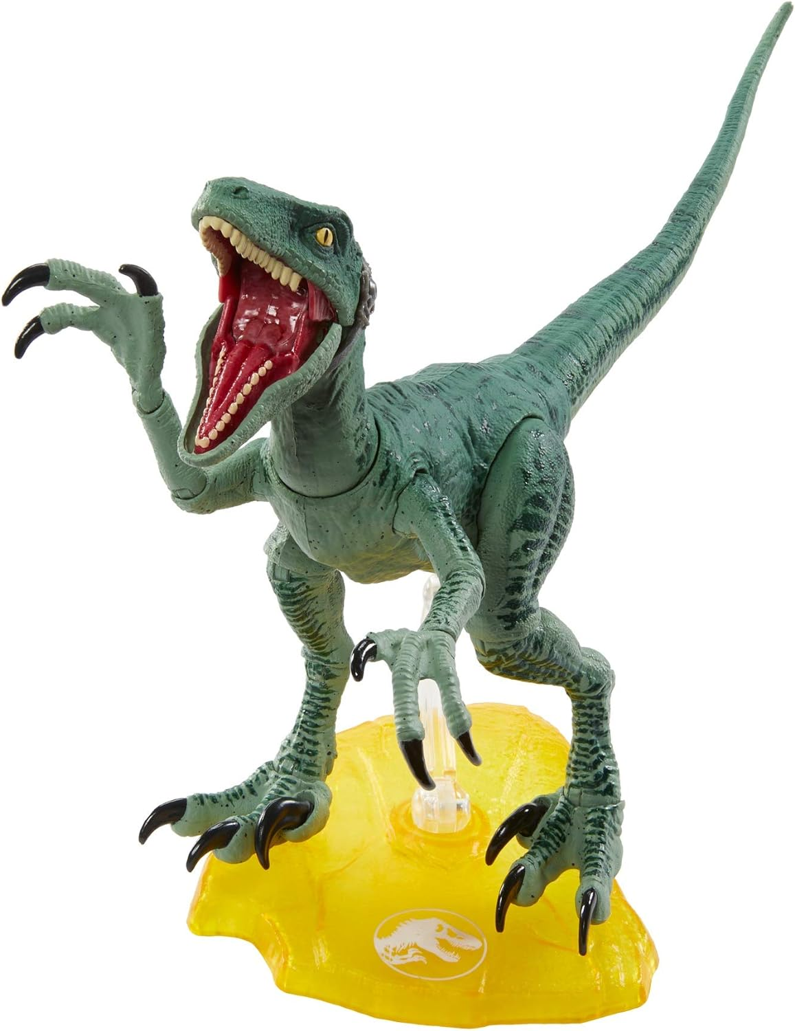 Jurassic World Amber Collection Velociraptor Delta 6-In Collectible Dinosaur Action Figure with Movie-Authentic Detail, Movable Joints & Figure Display Stand; for Ages 8 Years & Up image number 5