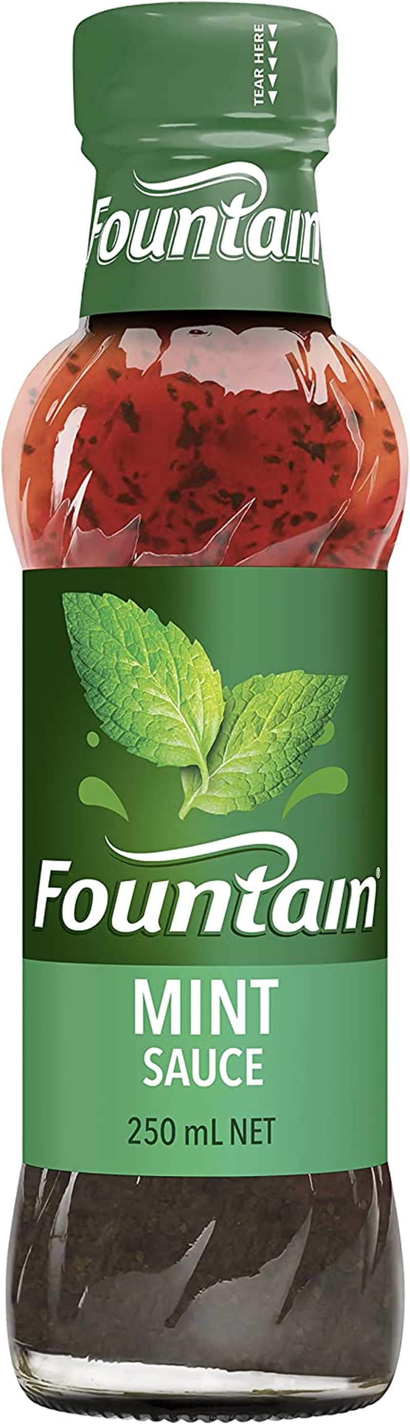 Fountain Mint Sauce Dipping and Marinade Fountain Sauces 250Ml image number 1