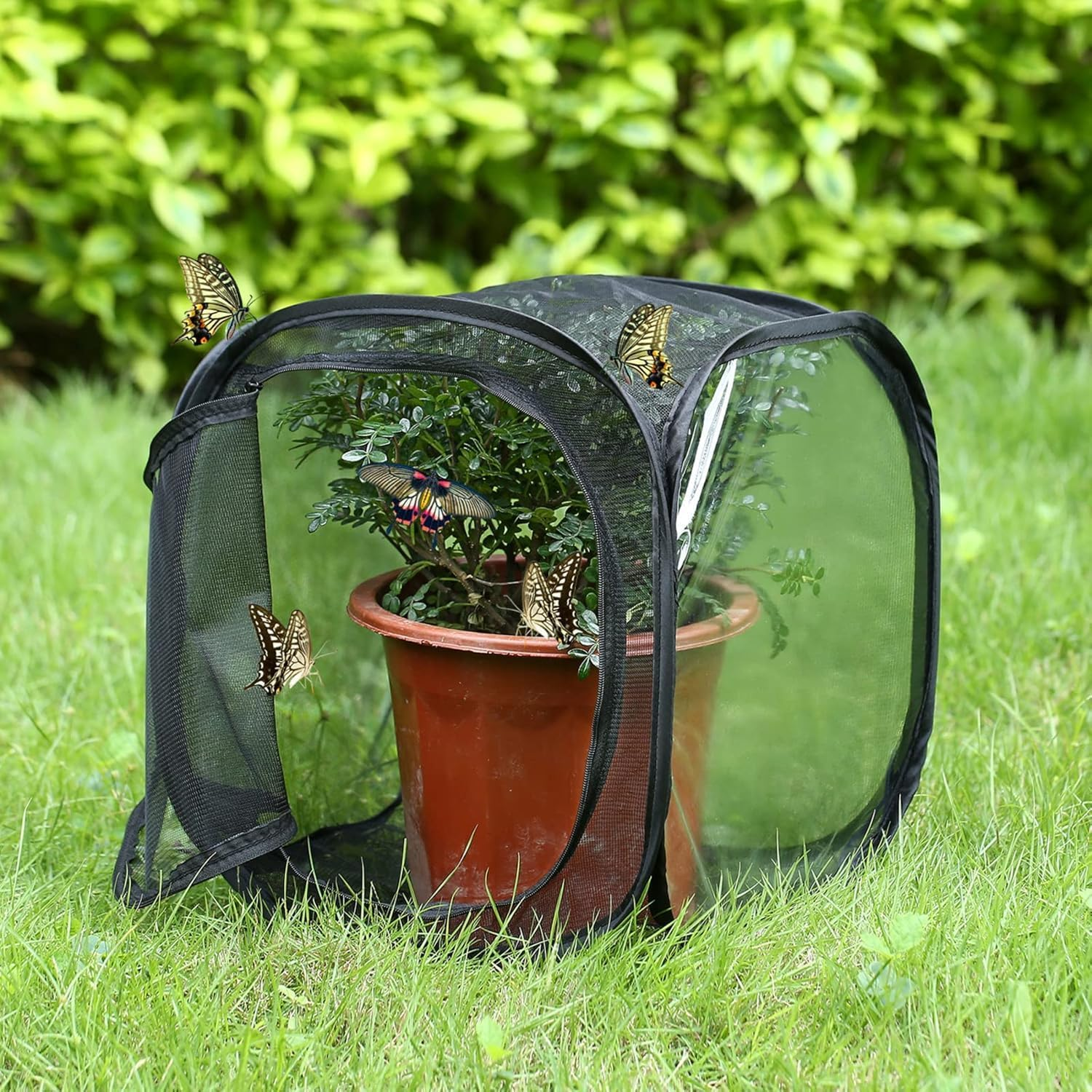Insect and Butterfly Habitat Cage Outdoor Collapsible Butterfly Enclosure Mesh Net Cage (Black30&times;30&times;30Cm) image number 2