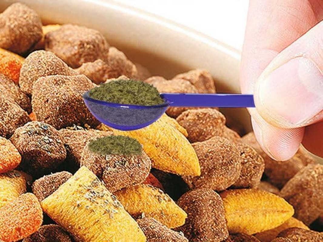 Troy Proden Plaque off Powder image number 4