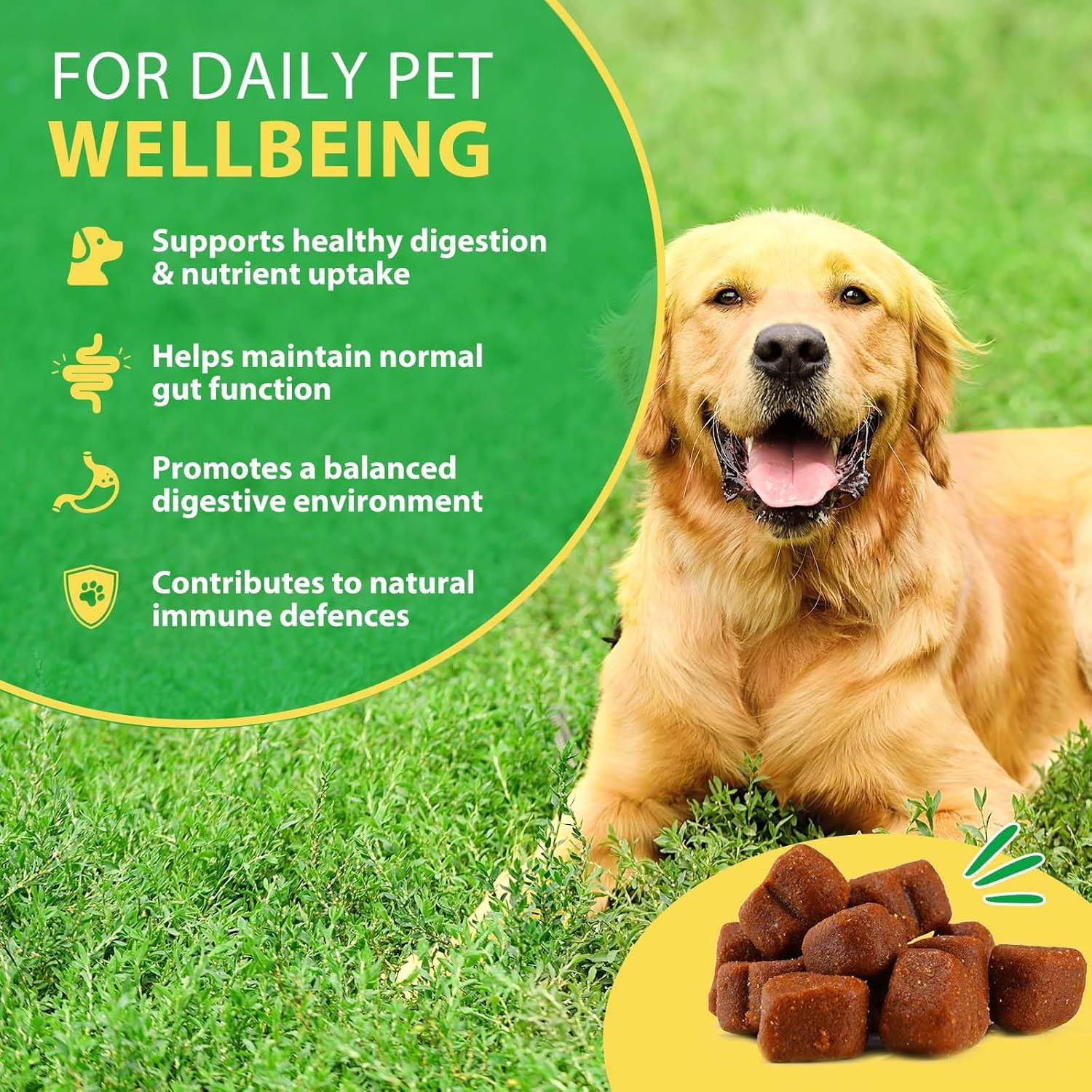 Probiotics for Dogs, Supports Gut Health, Itchy Skin, Allergies, Yeast Balance, Immunity, Probiotics and Digestive Enzymes for Small, Medium and Large Dogs, 120 Chewy Snacks, image number 1
