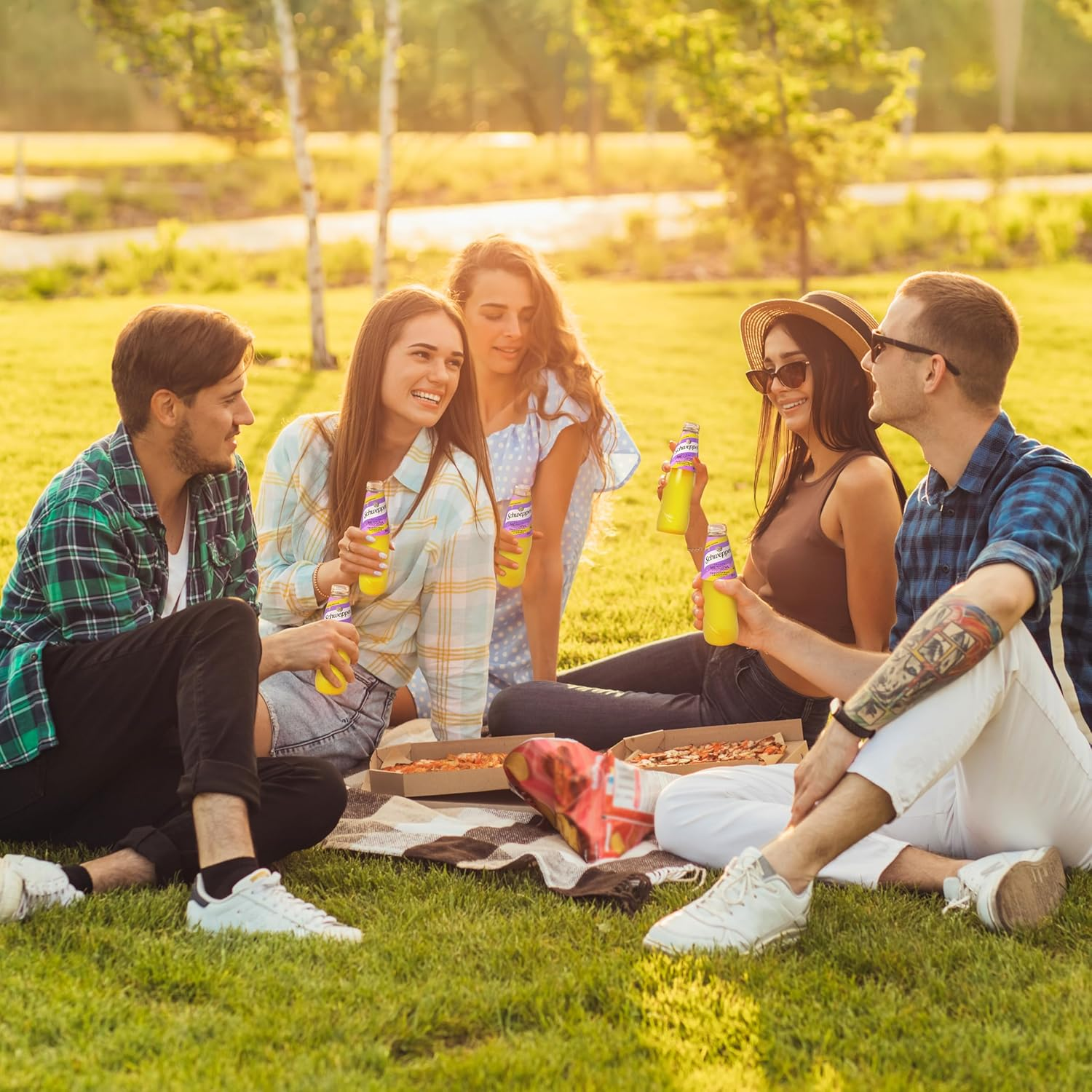 Schweppes Passionfruit Lemonade 300 Ml (Pack of 24) image number 1