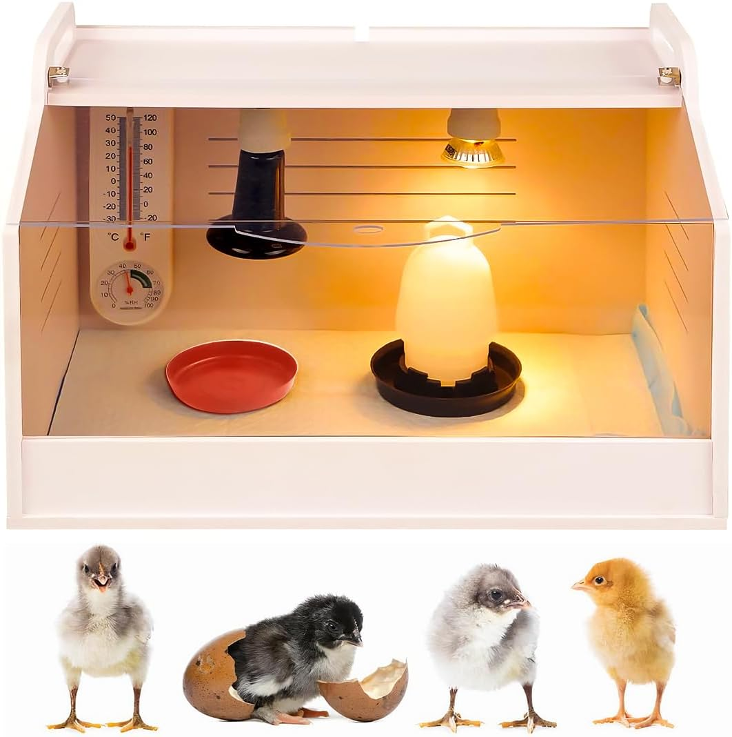 Heater Breeding Box Brooder for Poultry/Reptile/Parrots with Heating Lamp, Warms up to 20 Newborns Chicken, 48 Cm L X 30 Cm D X 32 Cm H (M) image number 2