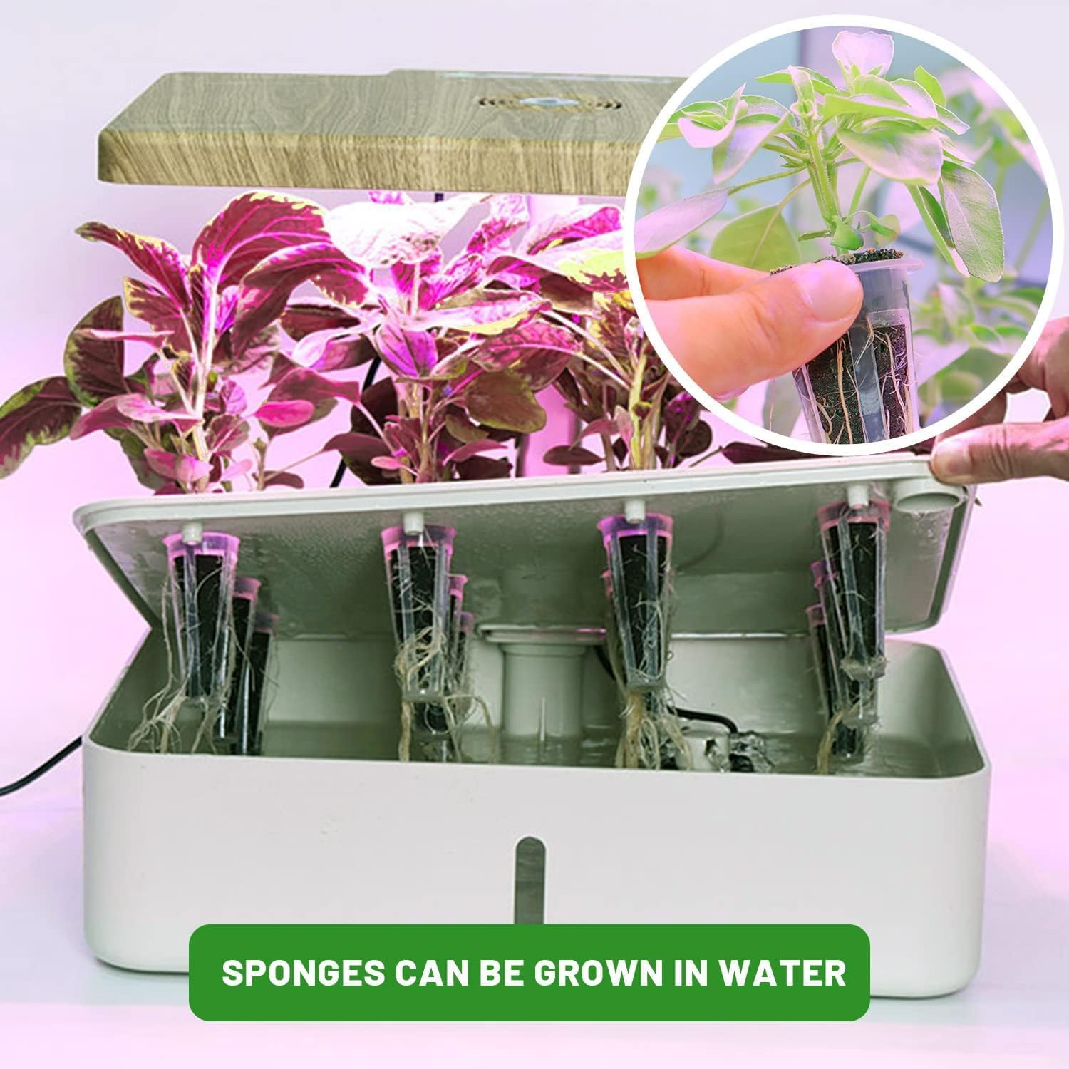 70 Pcs Seed Pods, Alternative Grow Sponges for Hydroponics, Hydroponic Sponges Kit for Indoor Garden System(Brown) image number 5