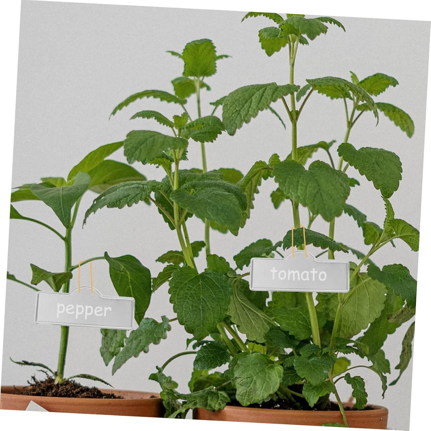 MERRYHAPY 20Pcs Aluminum Plant Labels Metal Plant Tags Outdoor Garden Use for Flower Name Tags image number 1