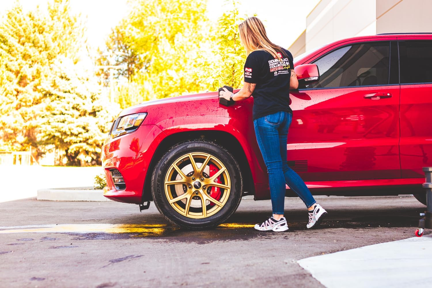 P & S Professional Detail Products - Absolute Rinseless Wash - Premium Soap Alternative; Emulsify Dirt; Softens Water; Safe on Paint, Coatings, Wraps, PPF (1 Gallon)