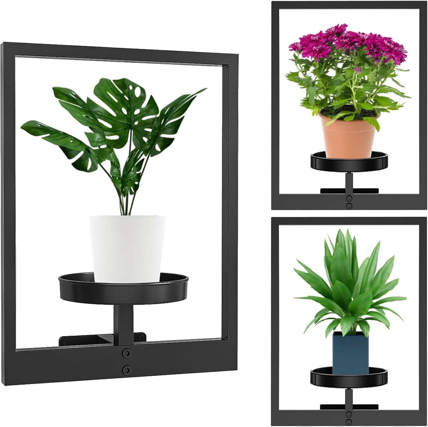 Wall Planters Indoor, Hanging Wall Planters for Indoor Plant Holder & Dried Flowers, 3 Pack Indoor Wall Decor Hanger Window Plant Shelves for Living Room Outdoor Entryway Decor image number 6