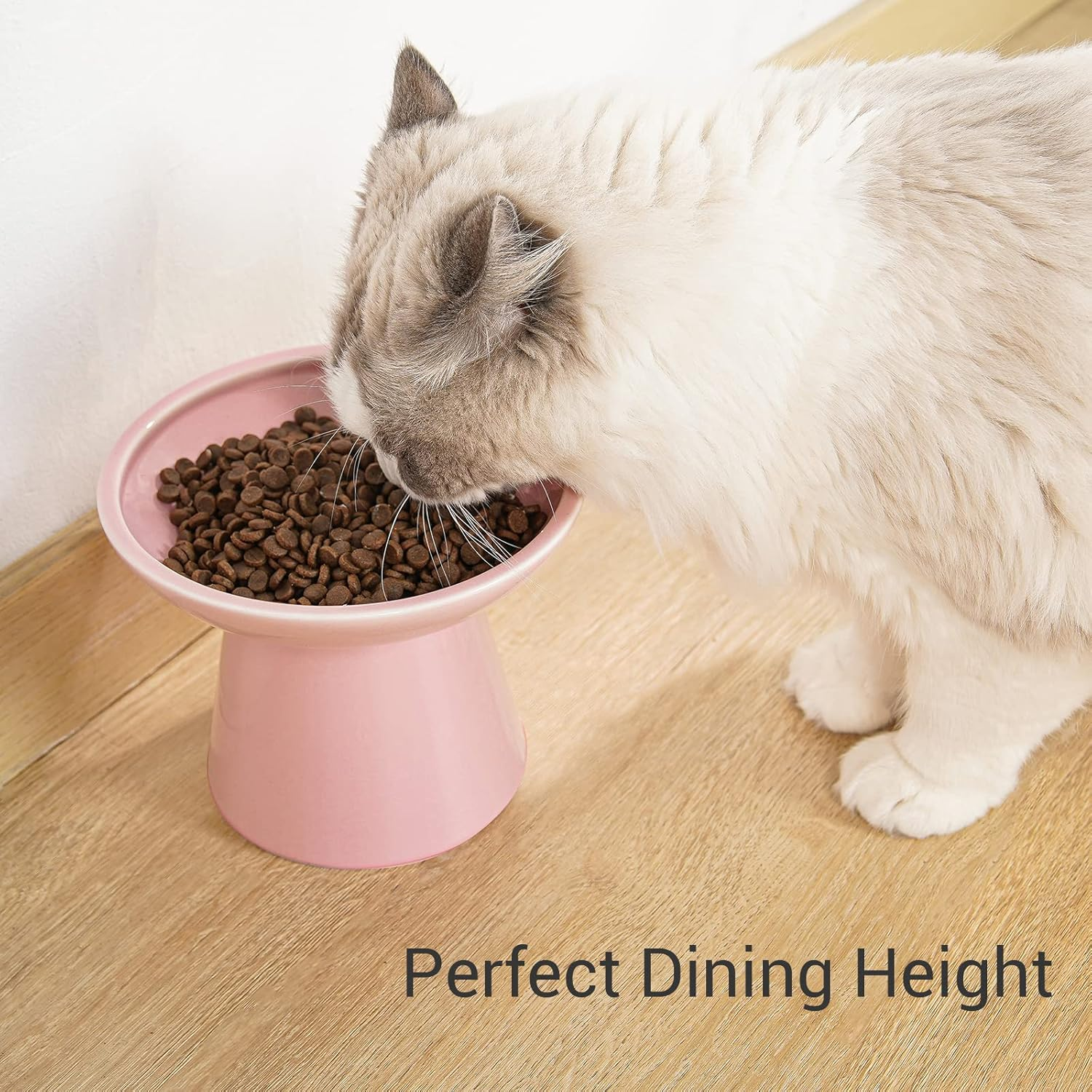 Extra Wide Elevated Cat Bowls - Ceramic Food Bowl 6.2" Raised, Shallow Dish for Whisker Fatigue, Lead & Cadmium Free, 5" Good Height for Feeding - Pink - Blue image number 6