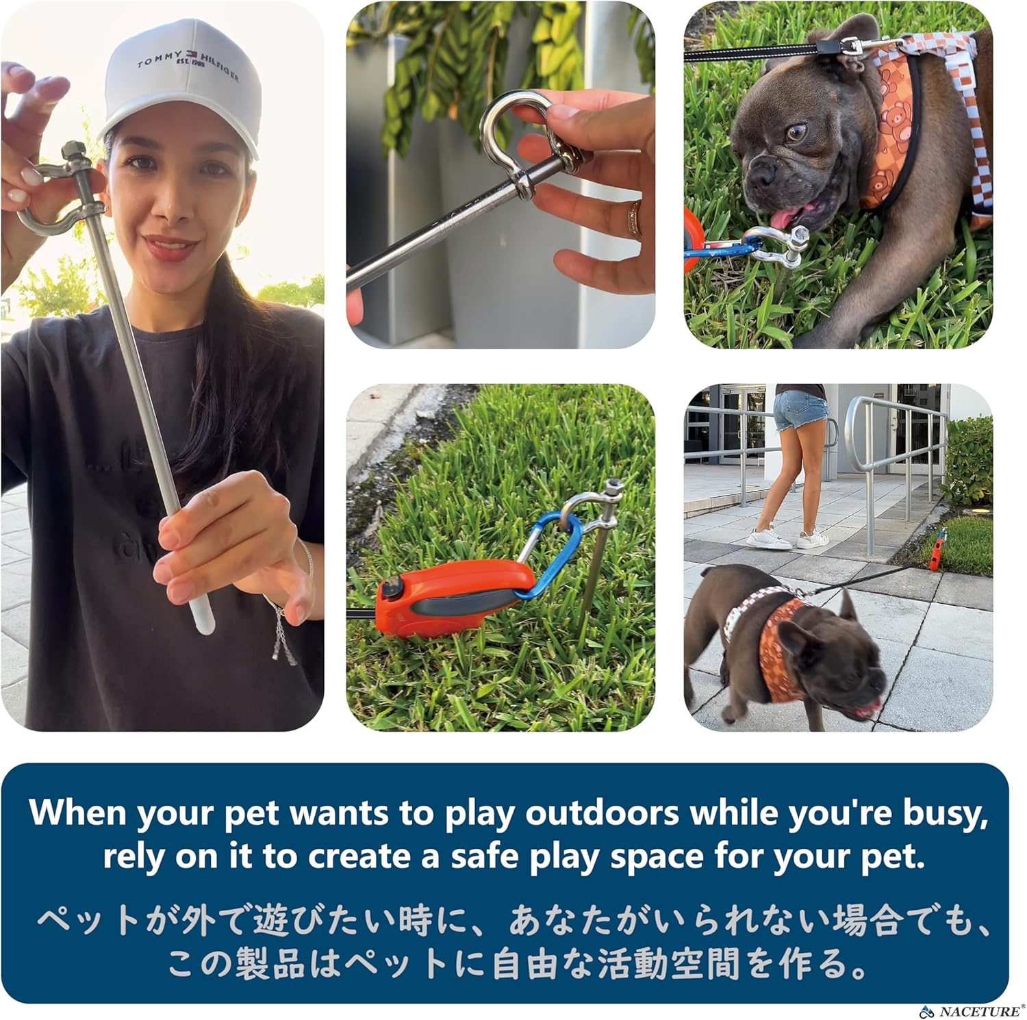 Stainless Steel Dog Tie Out Stake - Heavy Duty Anchor for Outside, Yard, Camping - Free Swivel for Small Dogs up to 20 Lbs (12 Inch) image number 2