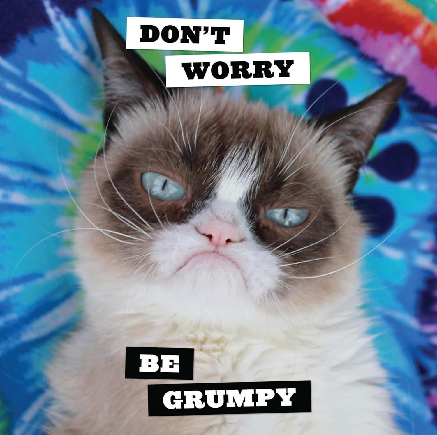 Grumpy Cat 2025 Wall Calendar image number 3
