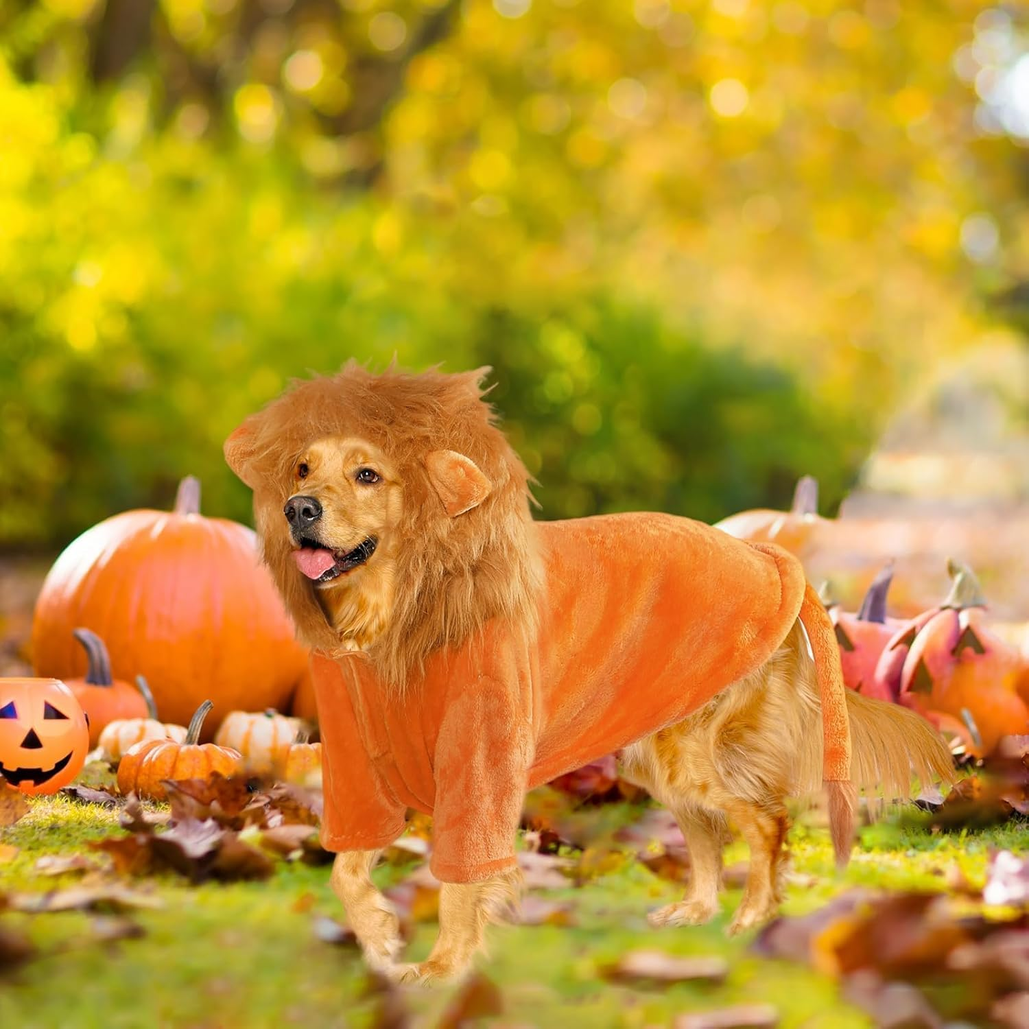 NACOCO Dog Halloween Lion Costume - Large Pet Clothes Cosplay Outfit Dog Lion Mane Apparel Party Hoodies Warm with Leash Hole for Small Medium to Large Sized Dogs (Xx-Large) image number 3