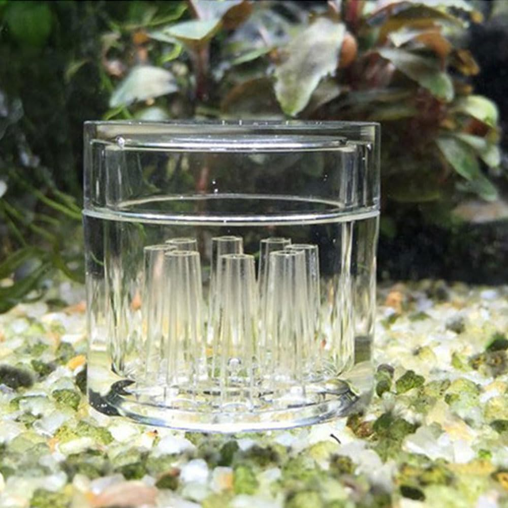 Glass Planaria Trap for Aquariums, 3-Piece Set, Leech and Worm Catcher image number 1