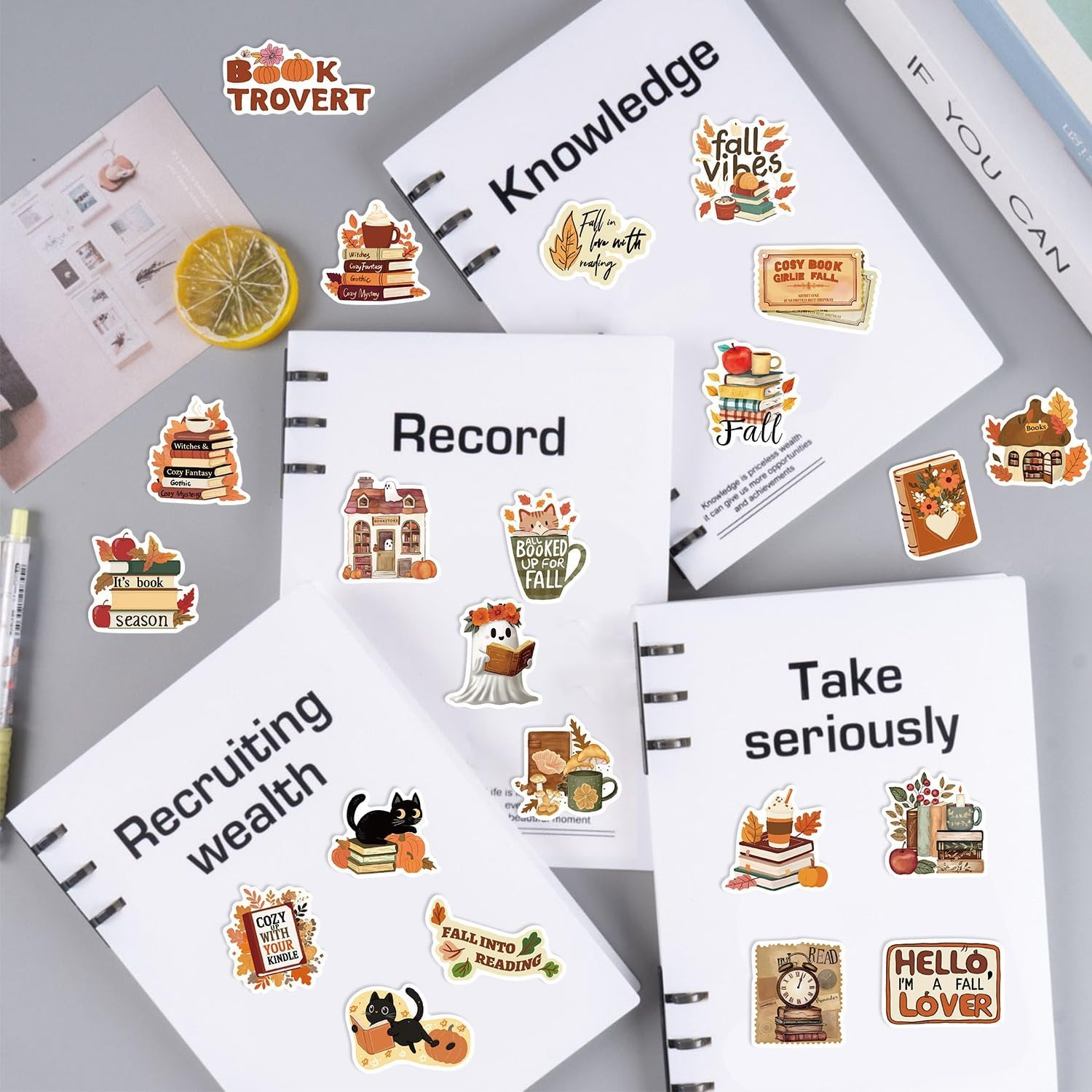 50Pcs Book Stickers for Kindle,Bookish Stickers Decals,Vinyl Waterproof Stickers for Laptop Water Bottle,Book Lovers Gifts image number 5