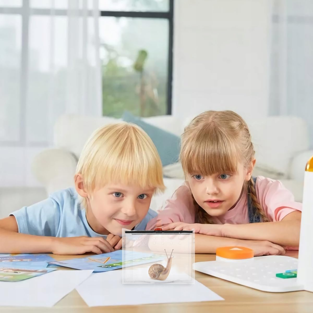 AIMALL Acrylic Reptile Climbing Pet Enclosure, Transparent Spider and Lizard Breeding Terrarium, Lightweight and Durable Design - Black image number 3