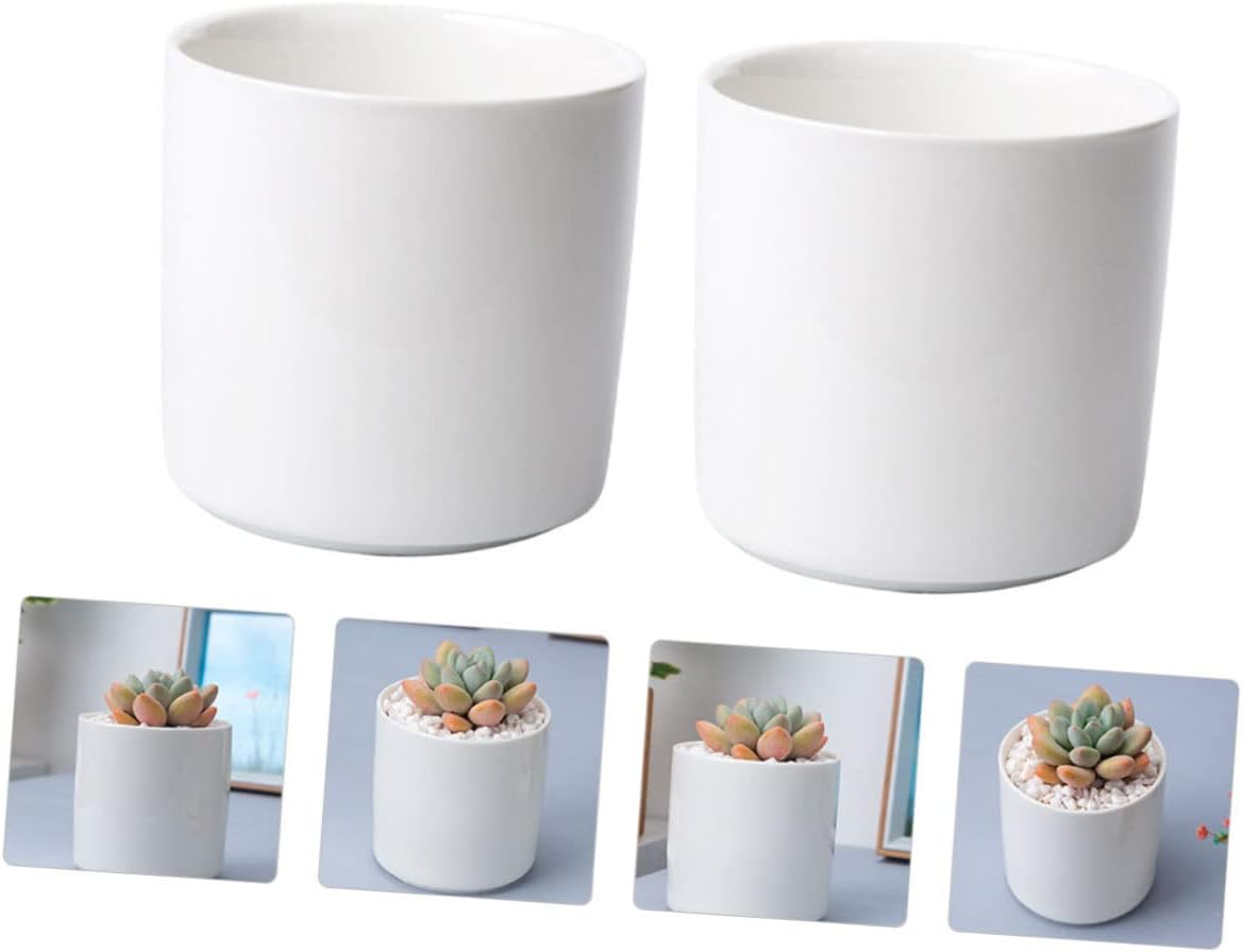 2Pcs Ceramic Flower Pot round Succulent Plant Container for Home Office Decor Elegant Desktop Planter for Small Spaces for Succulents Indoor Plants image number 5
