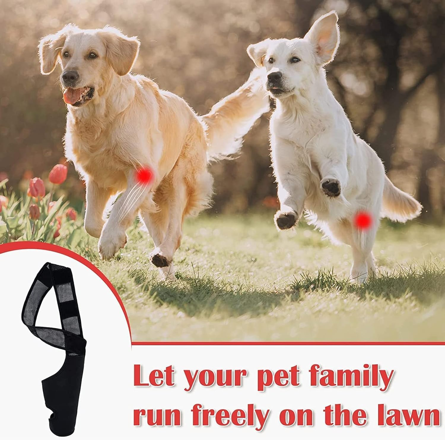 Dog Elbow Protector, Dog Brace Pads Relieve Arthritis Reducing Pain Provides Support Elbow Protector for Small Medium Dogs (Black, L) image number 3