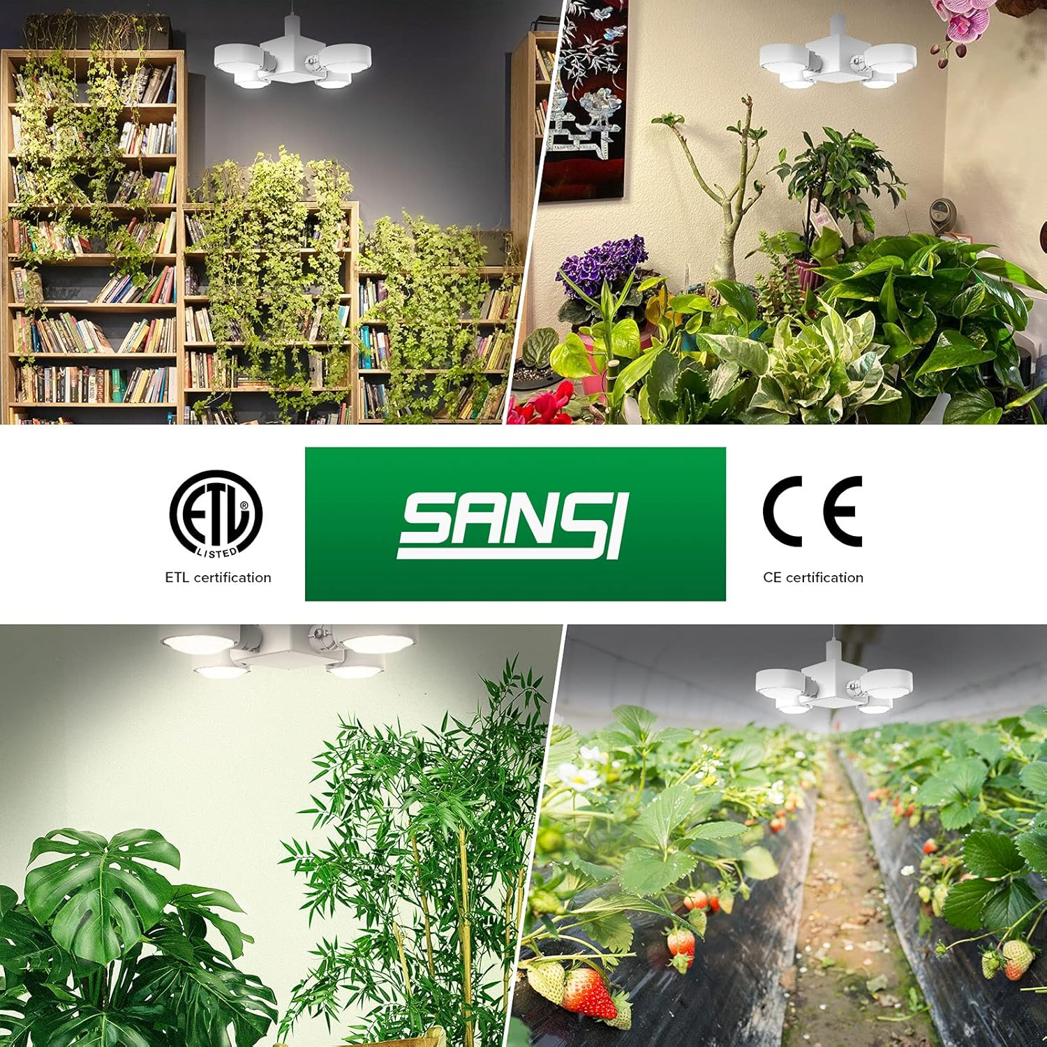 SANSI 30 W Plant Lamp LED Full Spectrum, E27 White Foldable Grow Light Bulb, High PPFD Plant Light for Indoor Plants, Hydroponics, Succulents, Seedlings, Vegetables, Flowers Gardening image number 5
