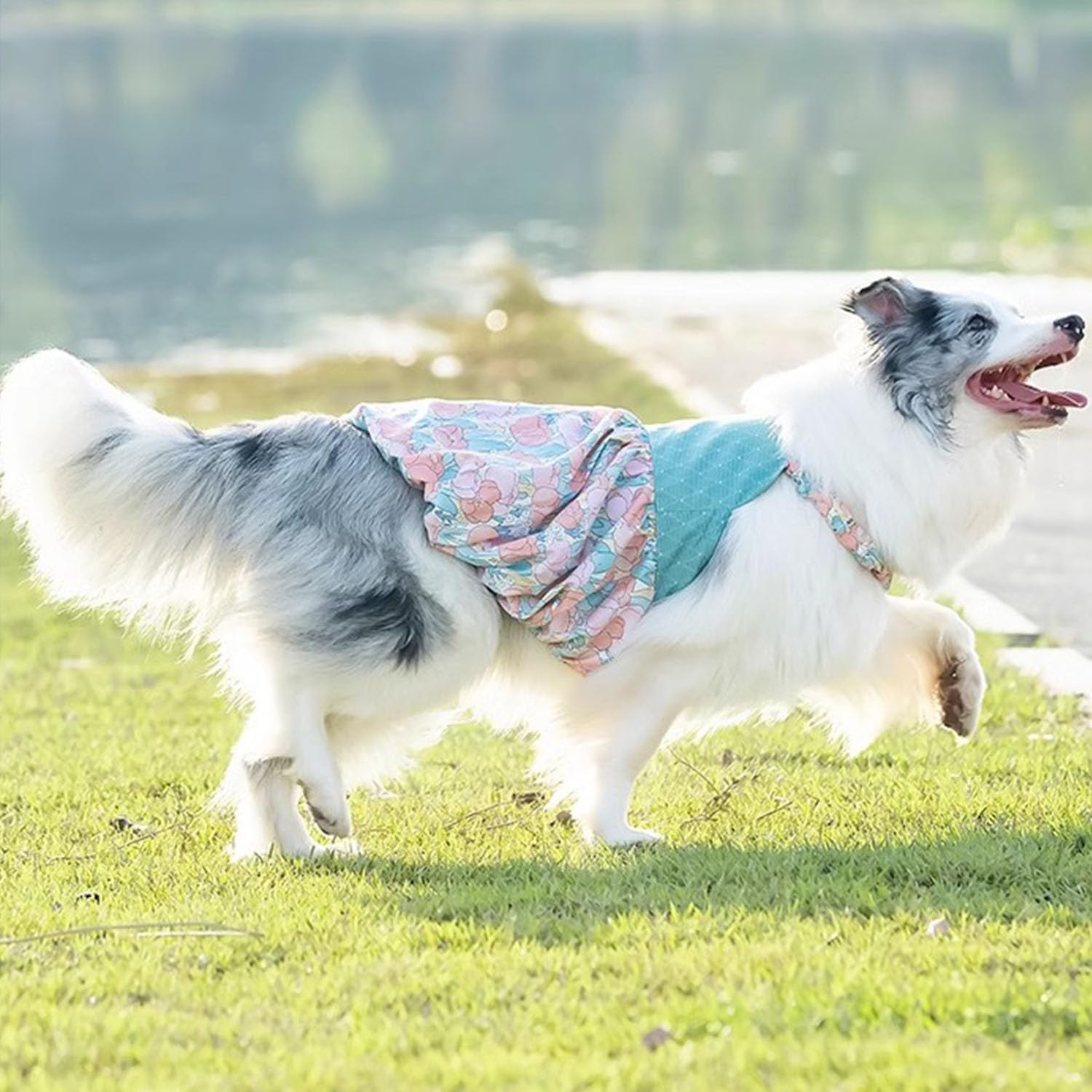 Dog Dress for Small Large Dogs,Floral Dog Wedding Dress Birthday Easter Dresses,Spring Summer Dog Clothes (Blue, M) image number 4
