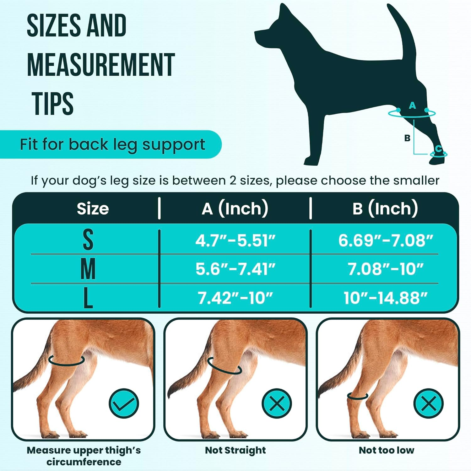 Dog Leg Braces for Back Leg - Dog Knee Brace for Support with Cruciate Ligament Injury, Joint Pain and Muscle Sore,- Dog Knee Brace for Torn ACL Hind Leg Adjustable Rear Leg Braces (Medium) image number 1