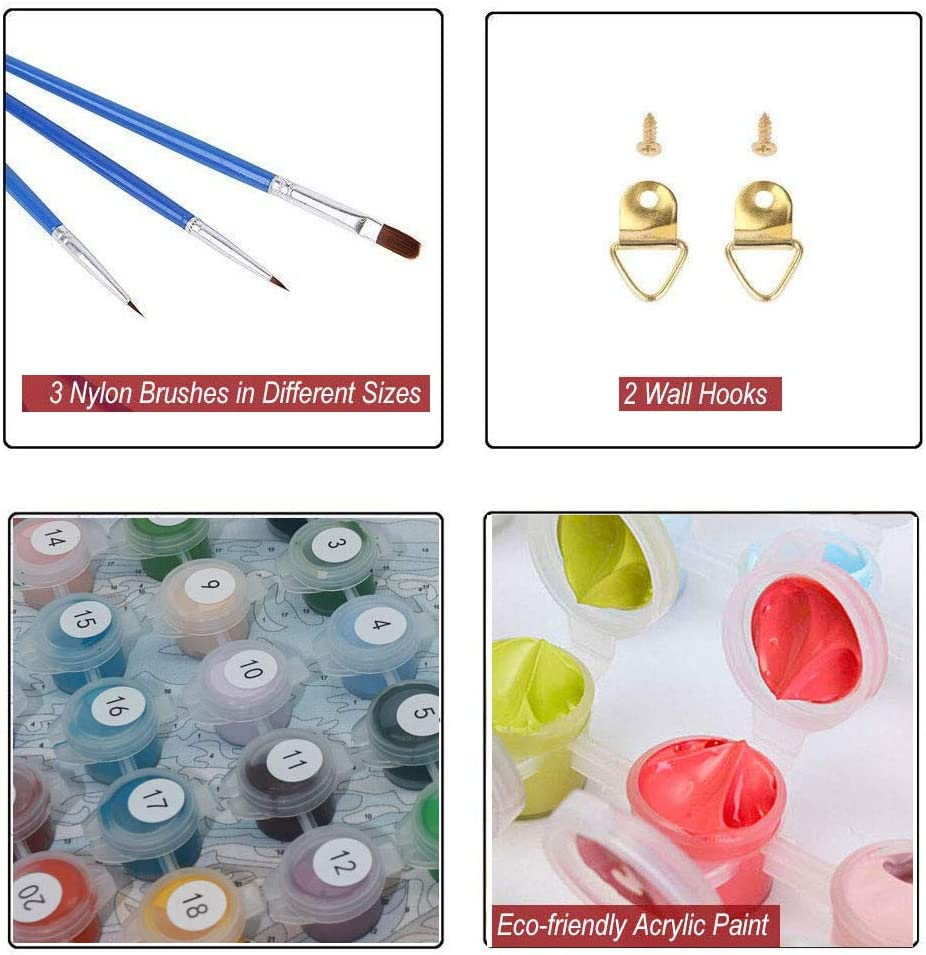 DIY Paint by Numbers, Canvas Oil Painting Kit for Kids & Adults, 16X20 Inch Acrylic Painting by Numbers - Poppy Flower (Frameless)