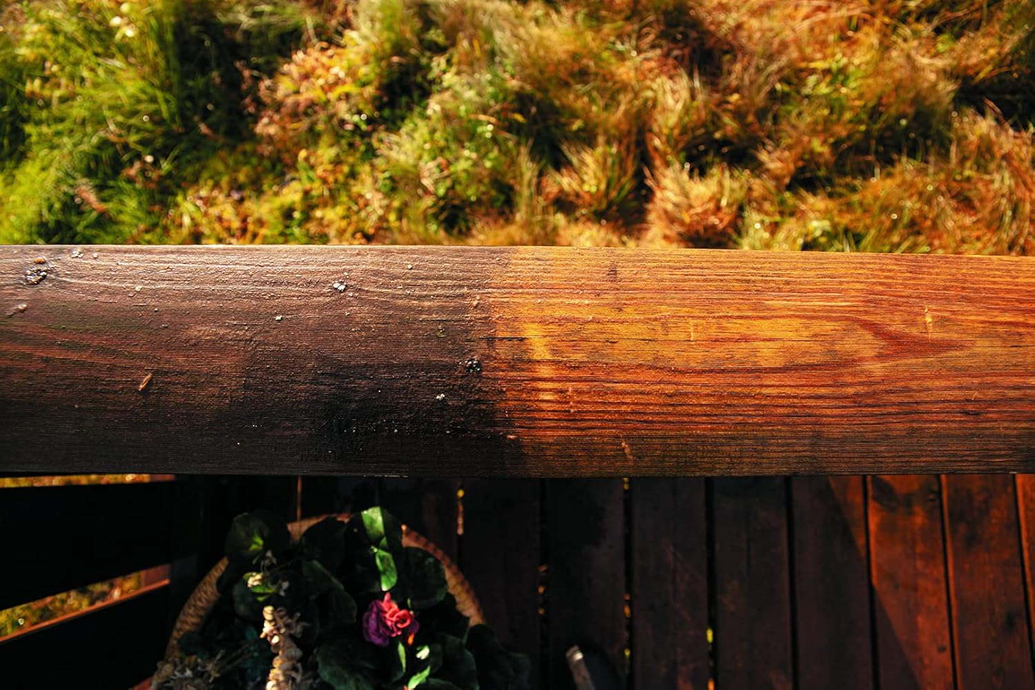 Masport AVA Furniture Brush, Medium image number 4