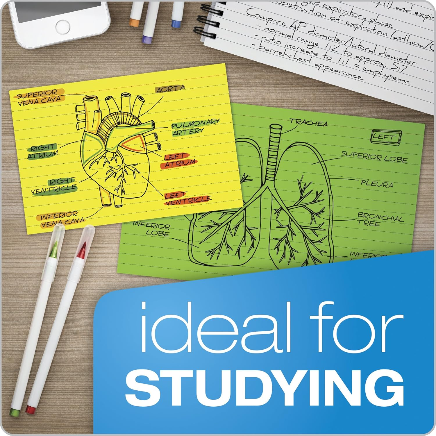 Oxford Glow Index Cards, 3" X 5", Ruled, Assorted Bright Colors, 100/Pack (40279) image number 6