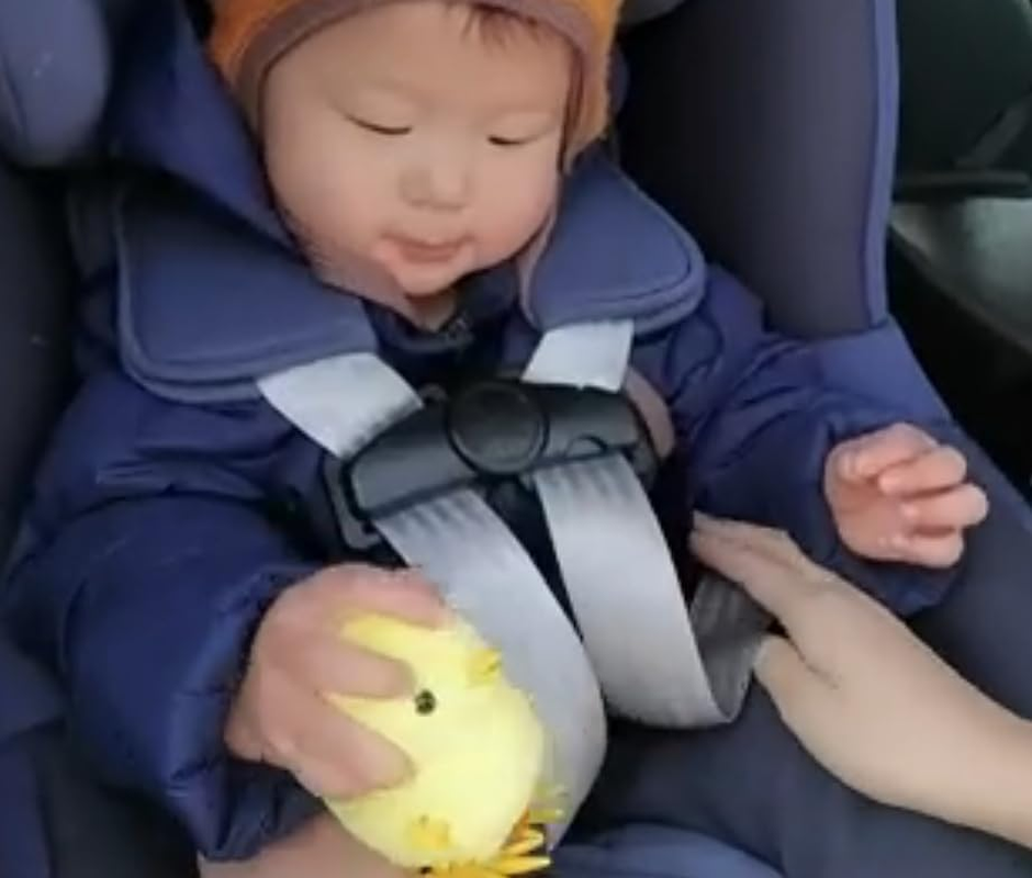 Car Seat Chest Harness Clip Universal Child Safer Belt Clip Buckle Lock Stroller Chest Clip Adjustable Guard for Baby and Kids (Black) image number 2