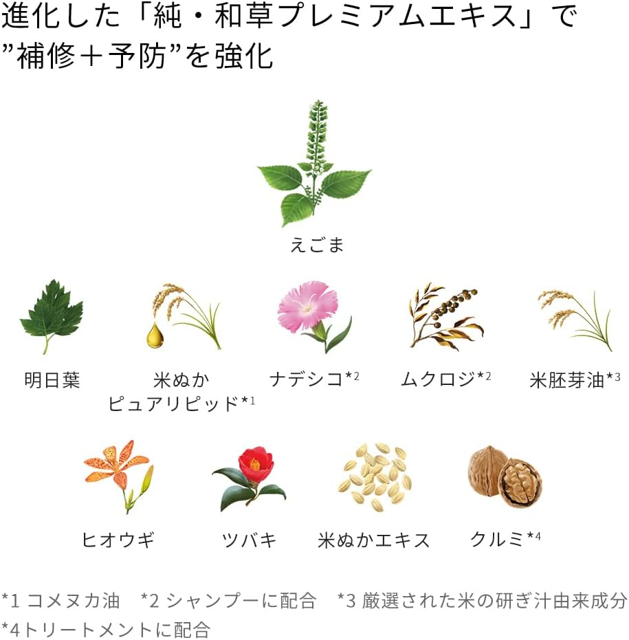 ICHIKAMI Color Care, Base Treatment in Shampoo Pump, 16.2 Fl Oz (480 Ml) | Non Silicone Amino Acid Shampoo, Hair Care, Damage Care, Fade Resistant, Men'S, Women'S image number 2