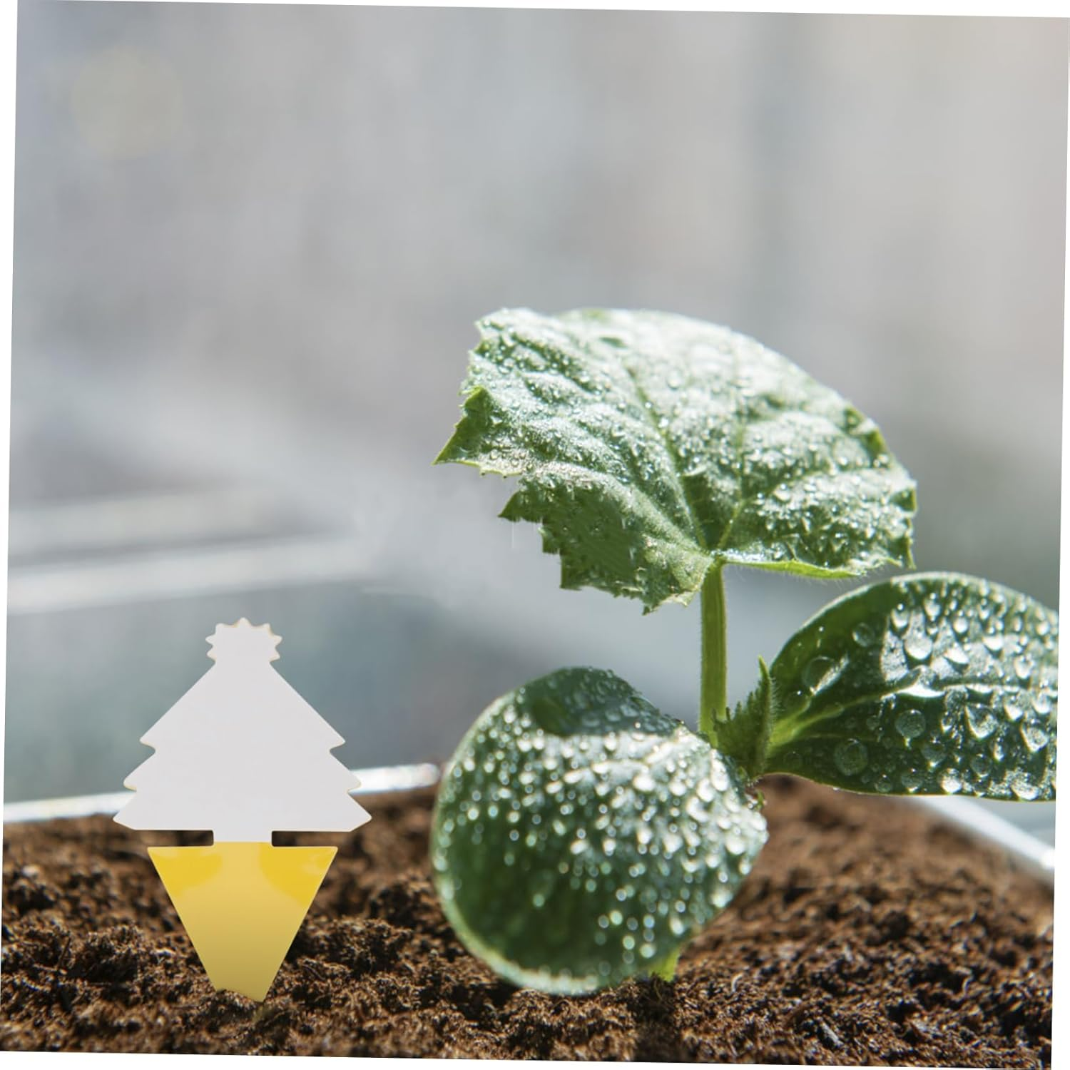 30Pcs Garden Board Orchard Dual-Sided Trap Boards for Indoor and Bugs Catching Tools image number 6