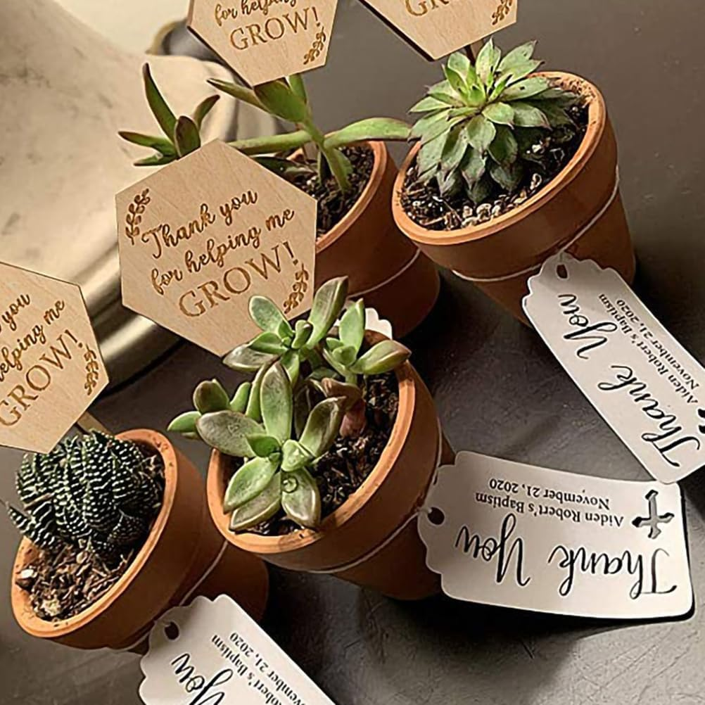 BESPORTBLE Plant Labels Plant Tags: 40Pcs Wood Plant Markers Thank You for Helping Me Grow Succulent Tags Teacher Appreciation Wooden Nursery Garden Labels for Vegetable Potted Plants
